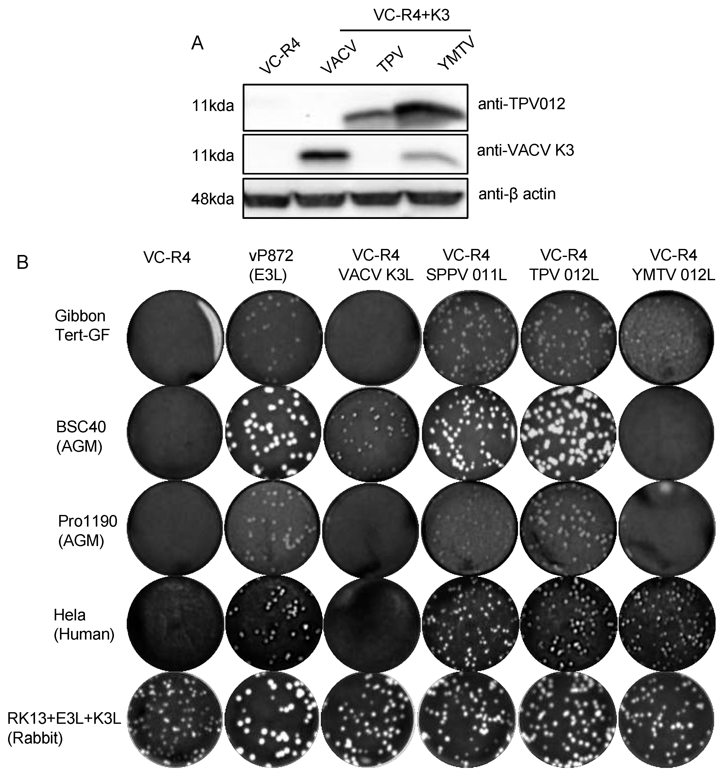 Preprints 108623 g005