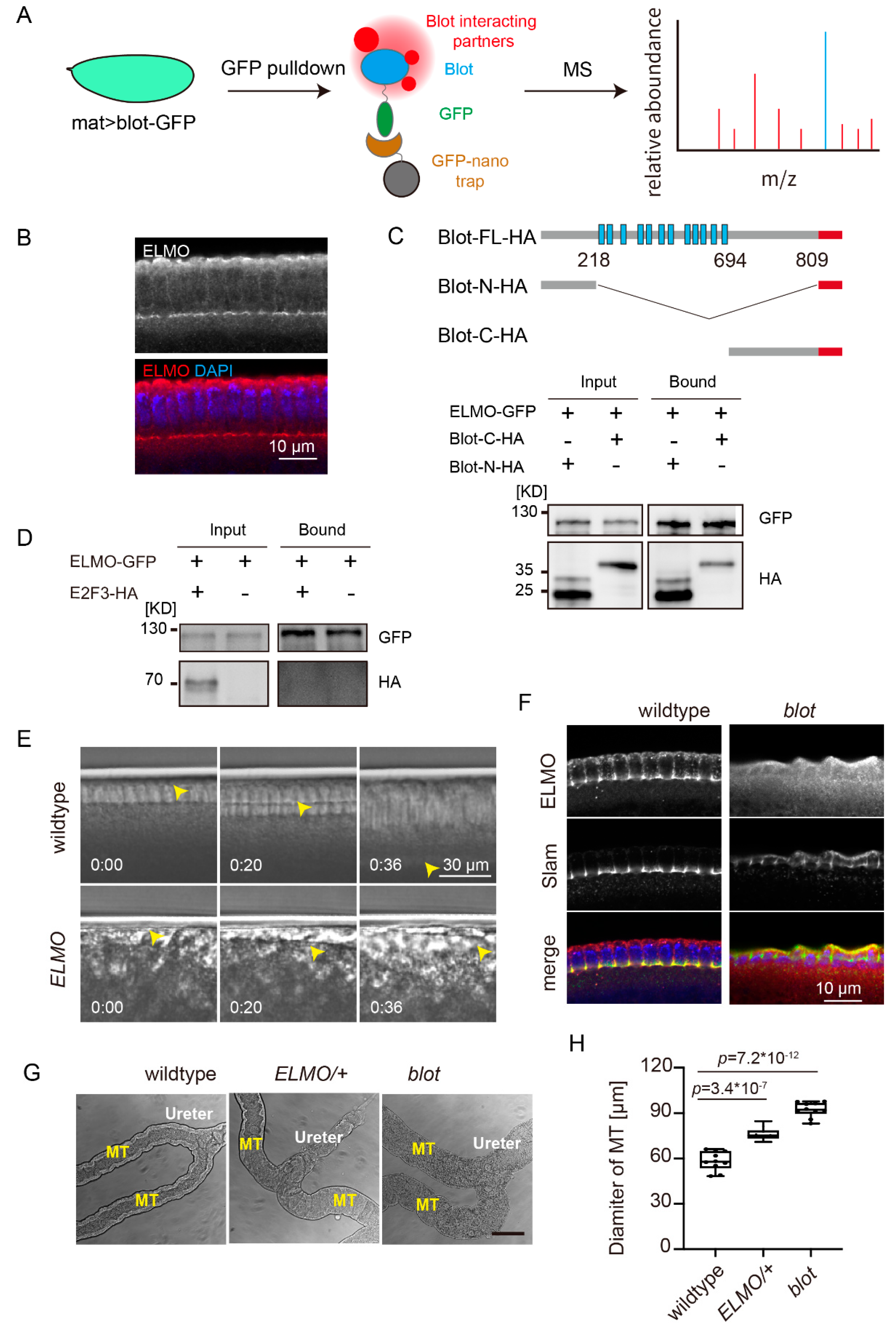 Preprints 71944 g002