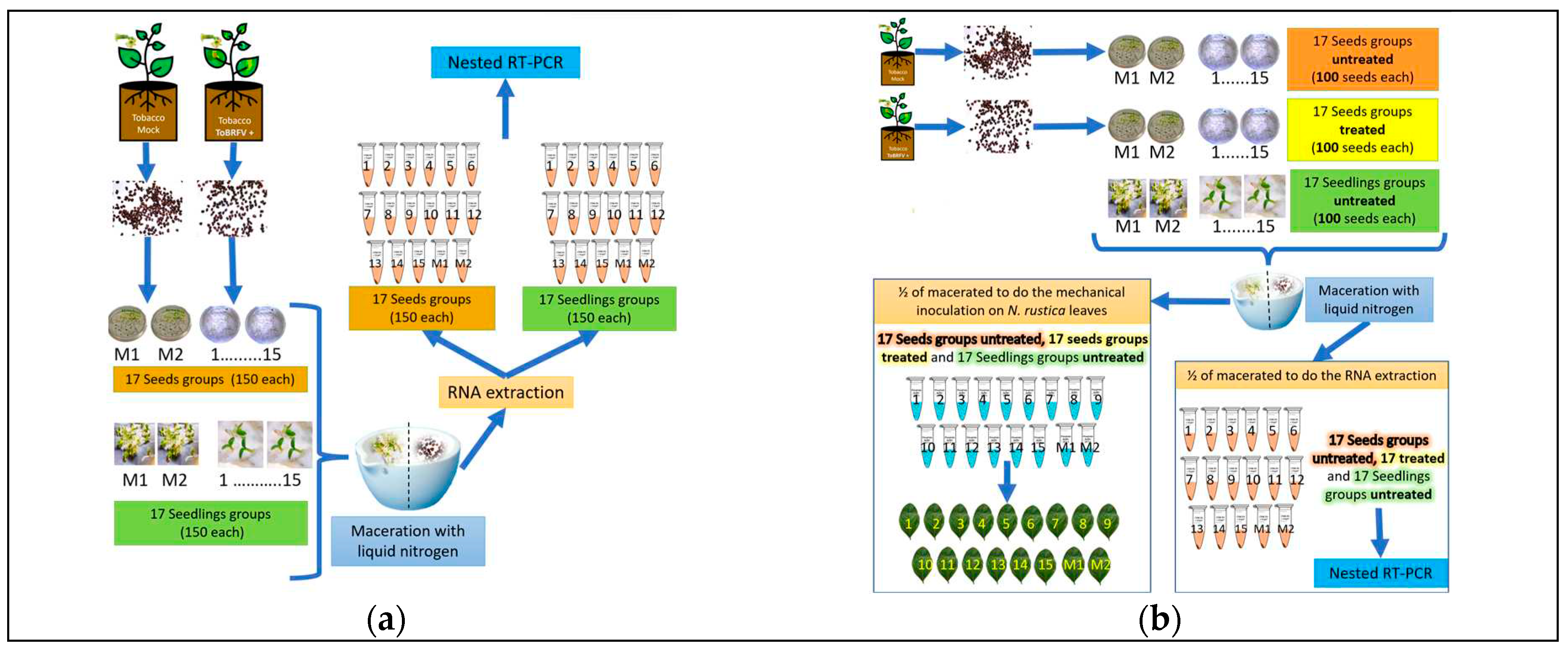 Preprints 79902 g001