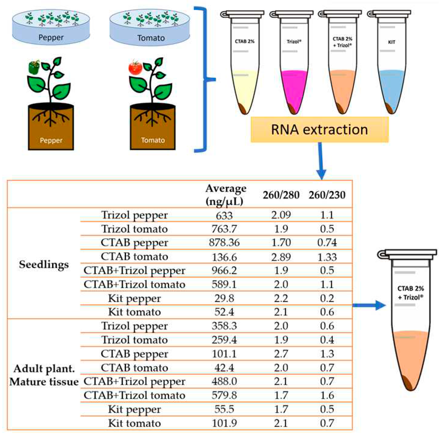 Preprints 79902 g002