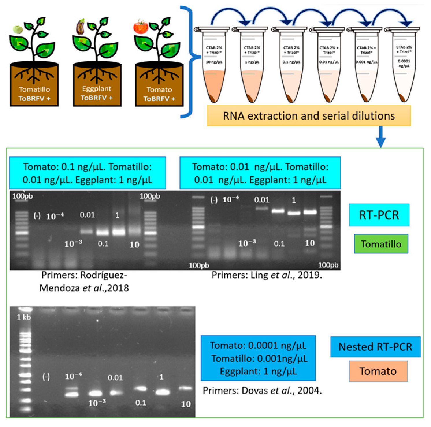 Preprints 79902 g003