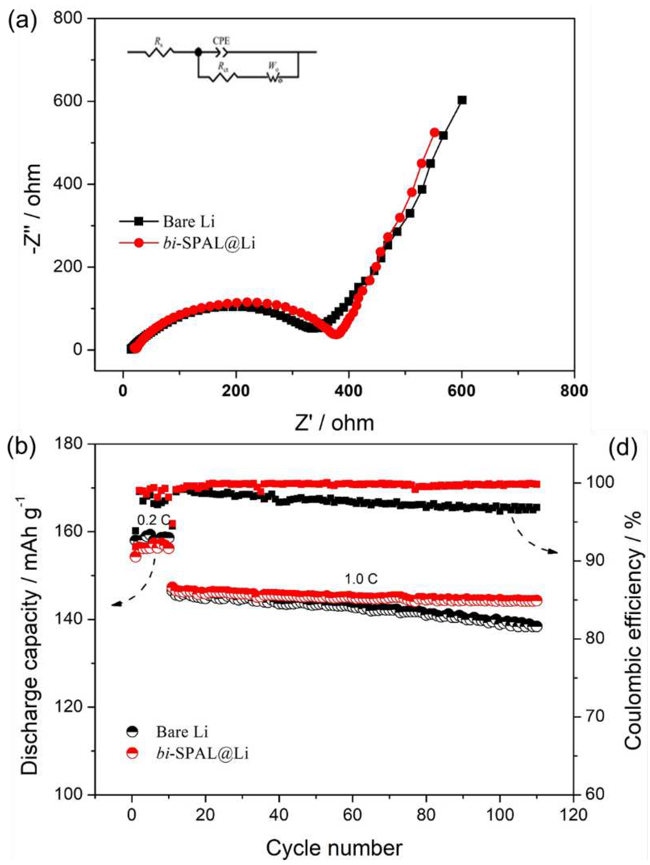 Preprints 75932 g004