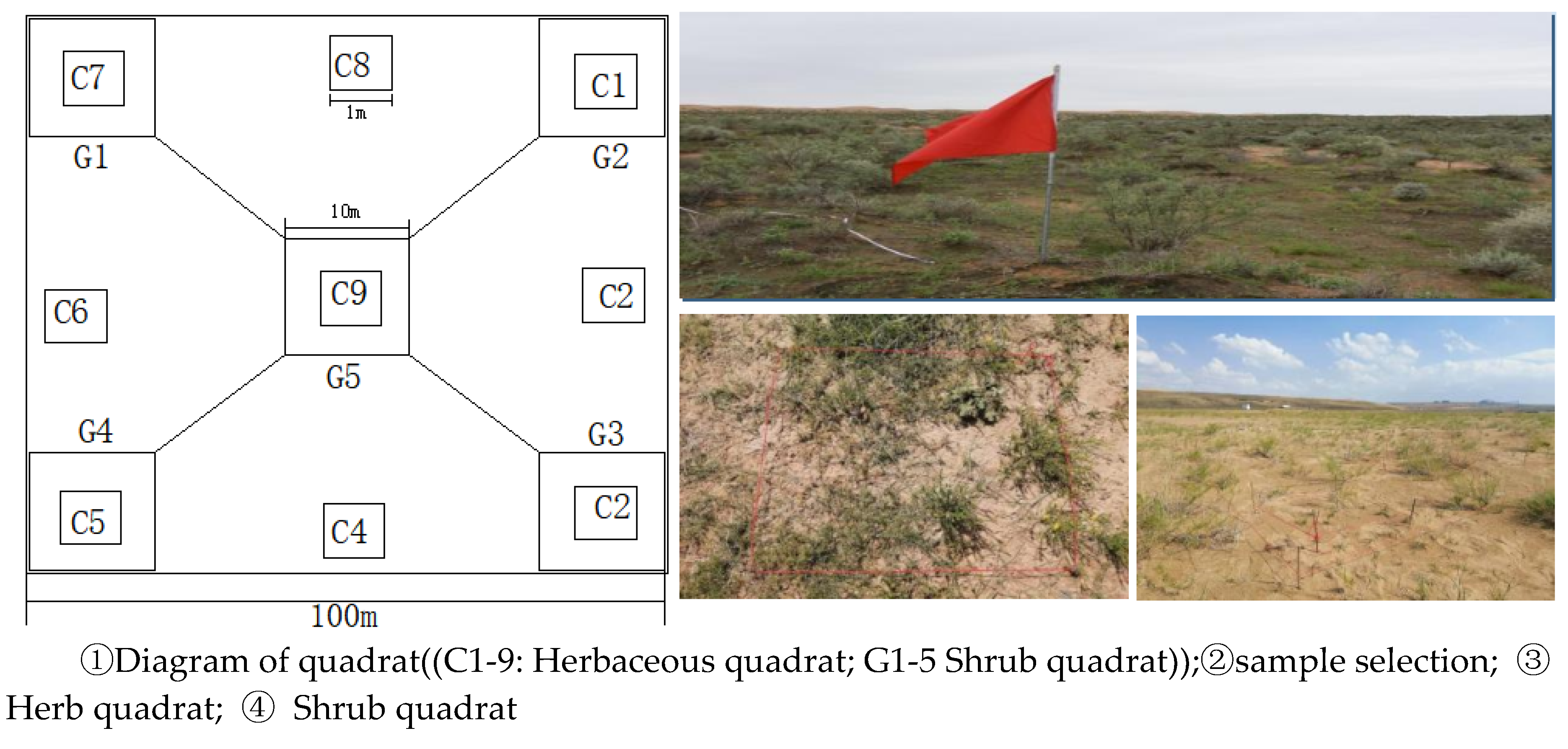 Preprints 73186 g005