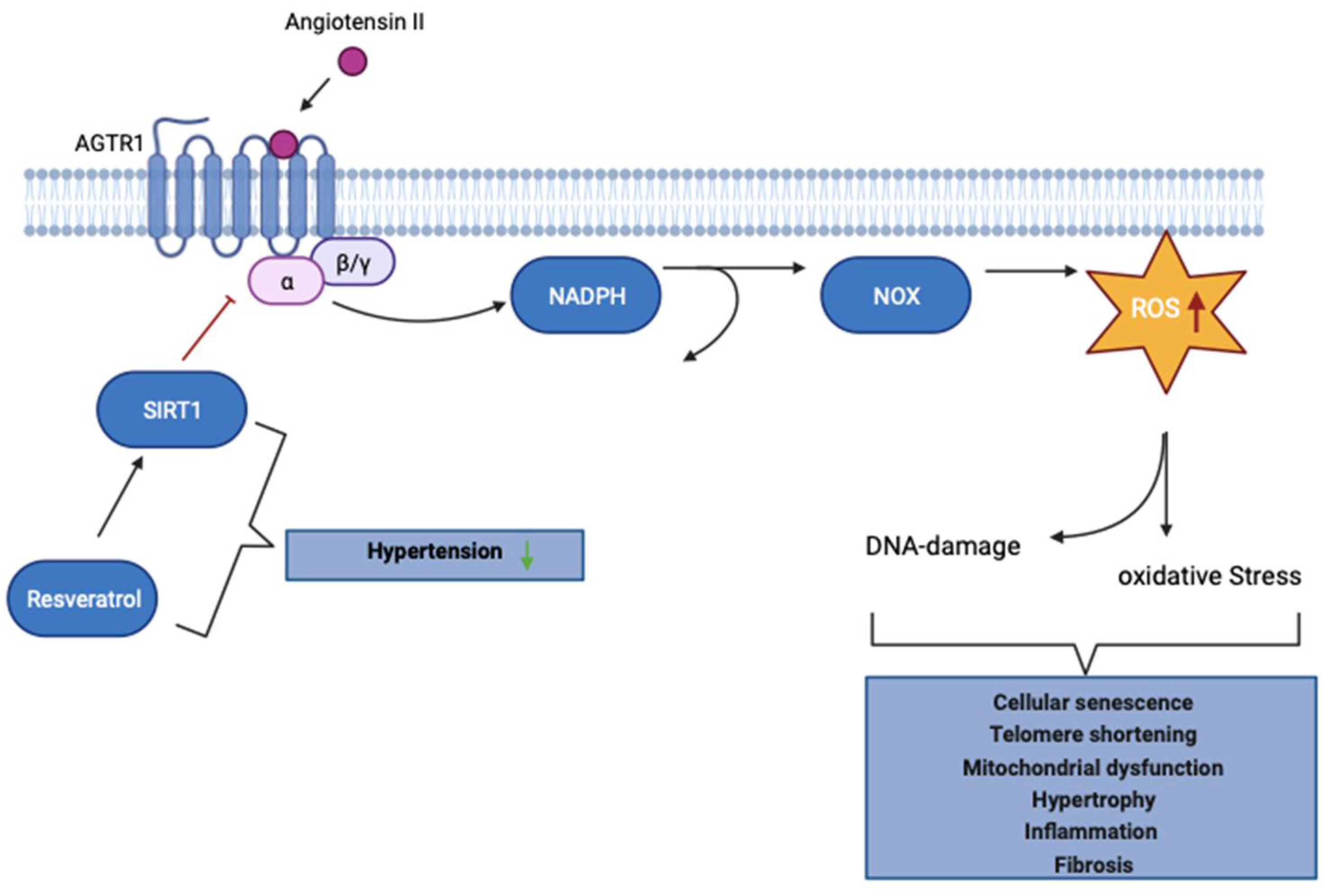 Preprints 112246 g003