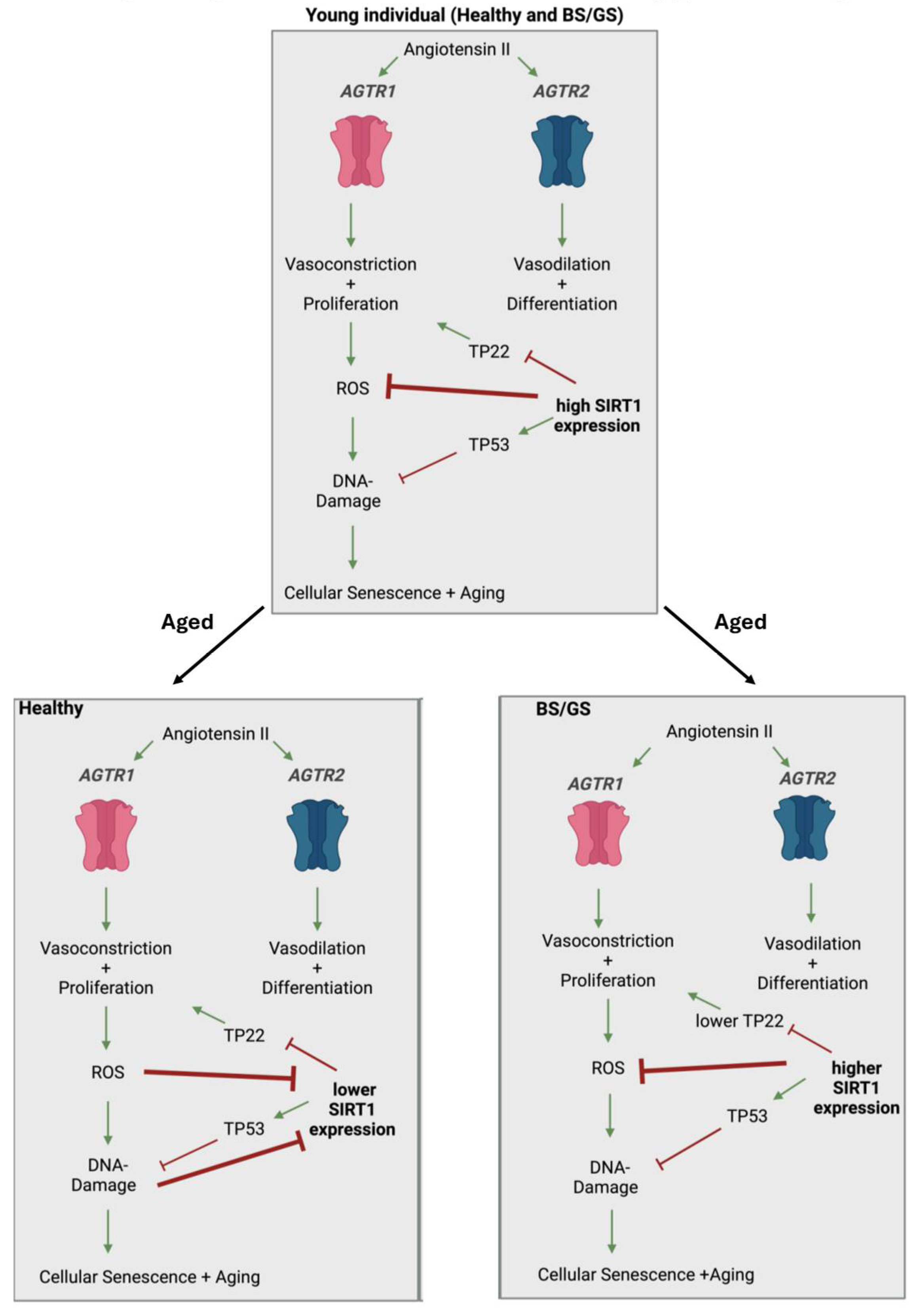 Preprints 112246 g004