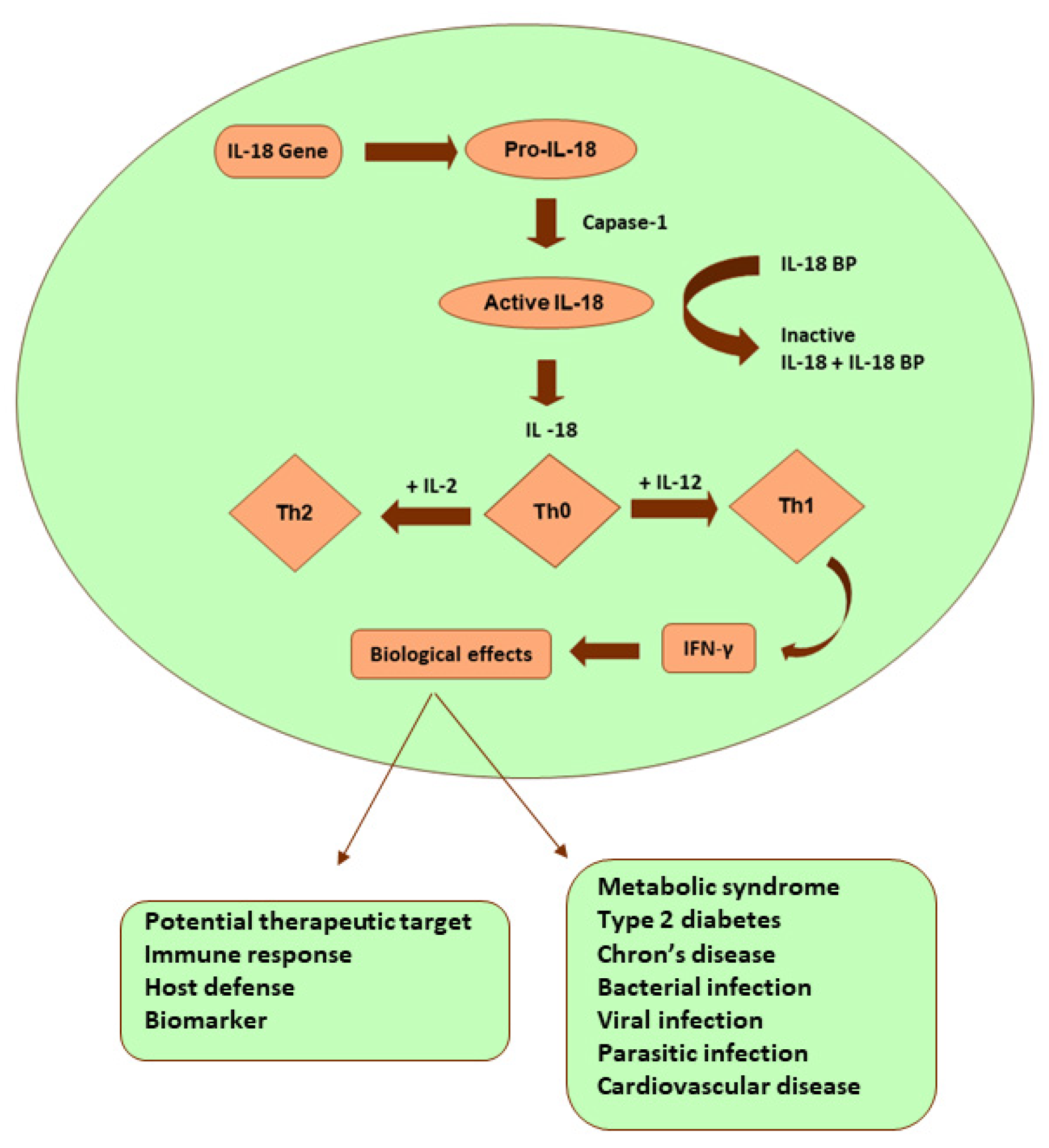 Preprints 117486 g001