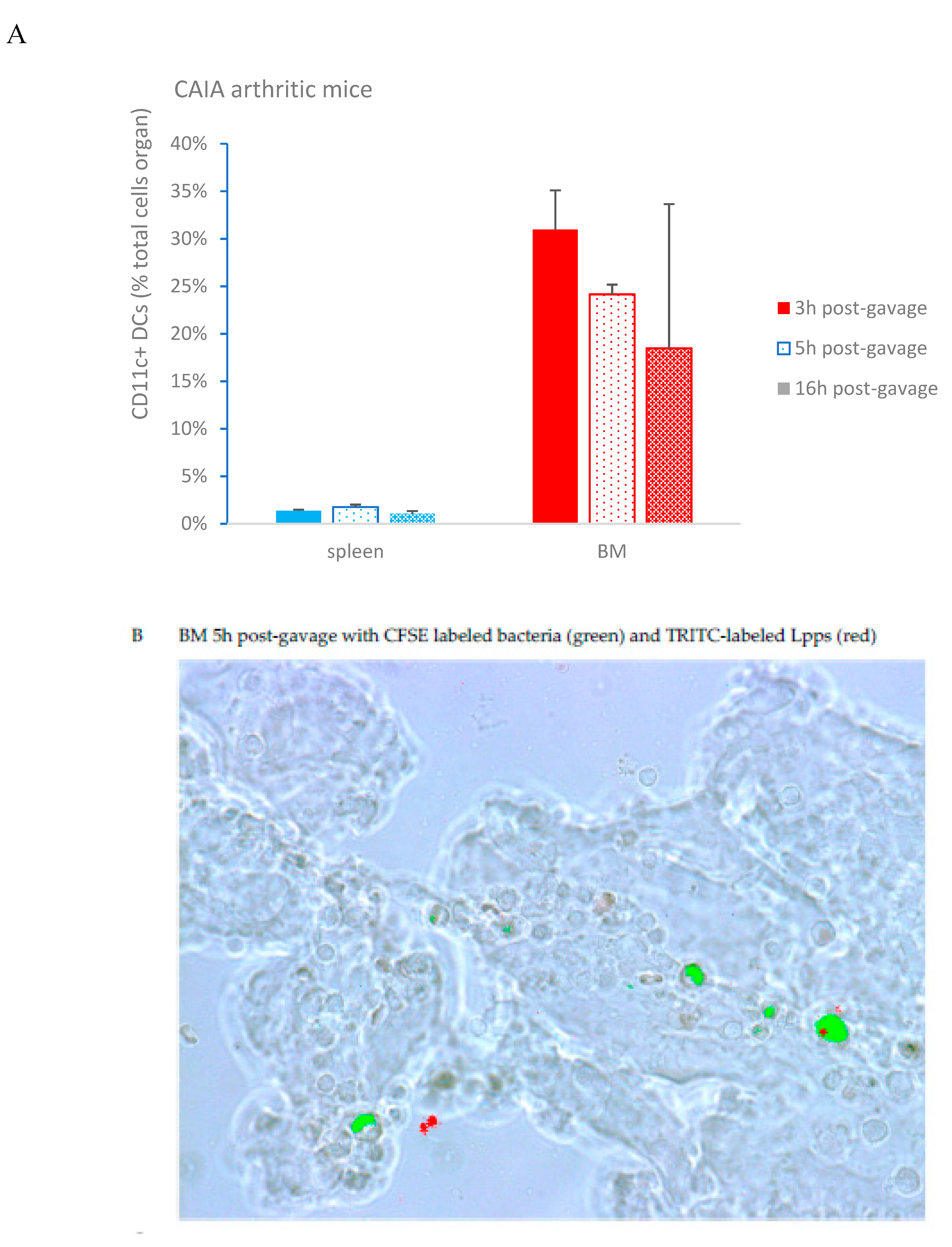 Preprints 88166 g004a