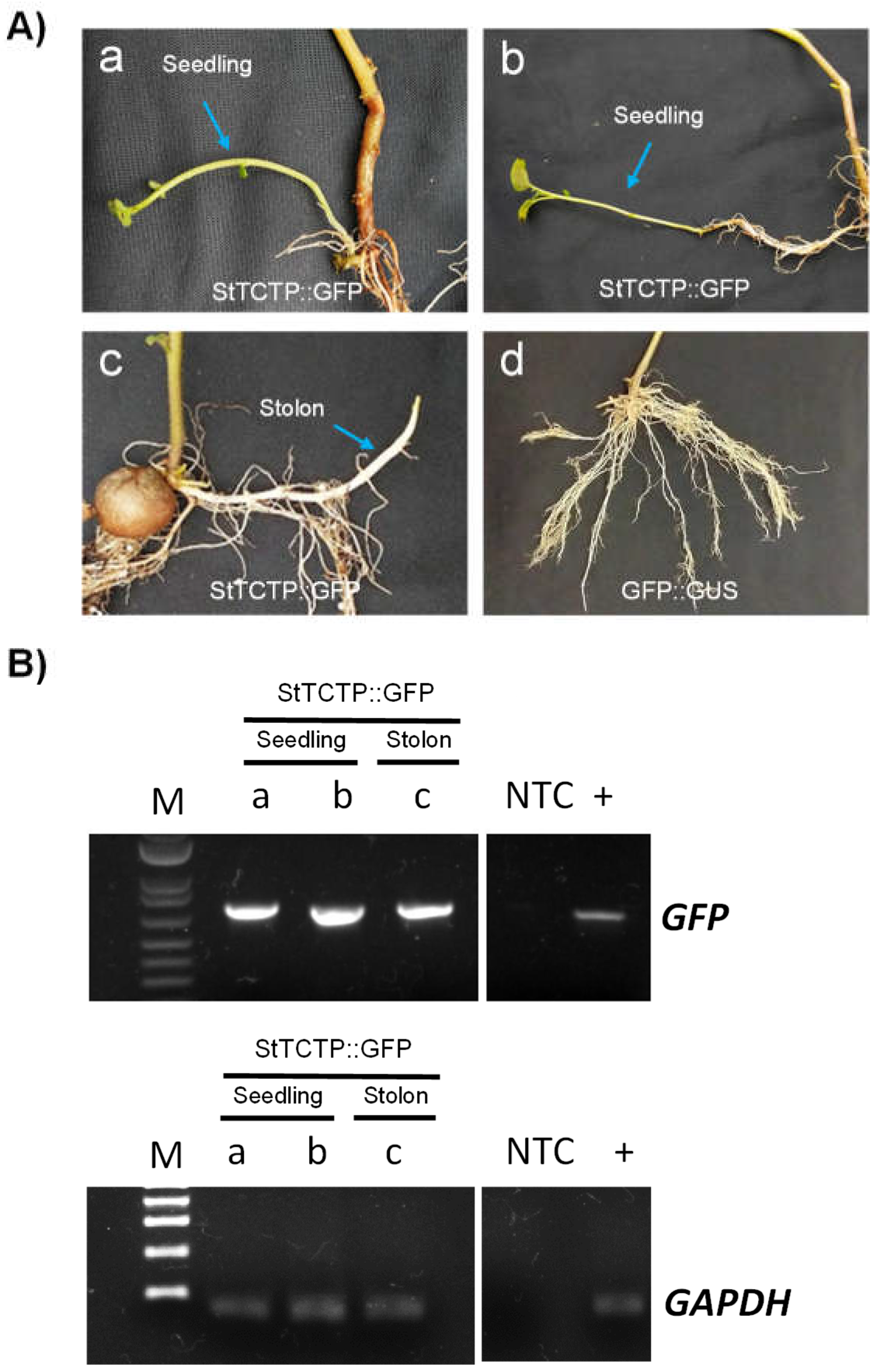 Preprints 76986 g004