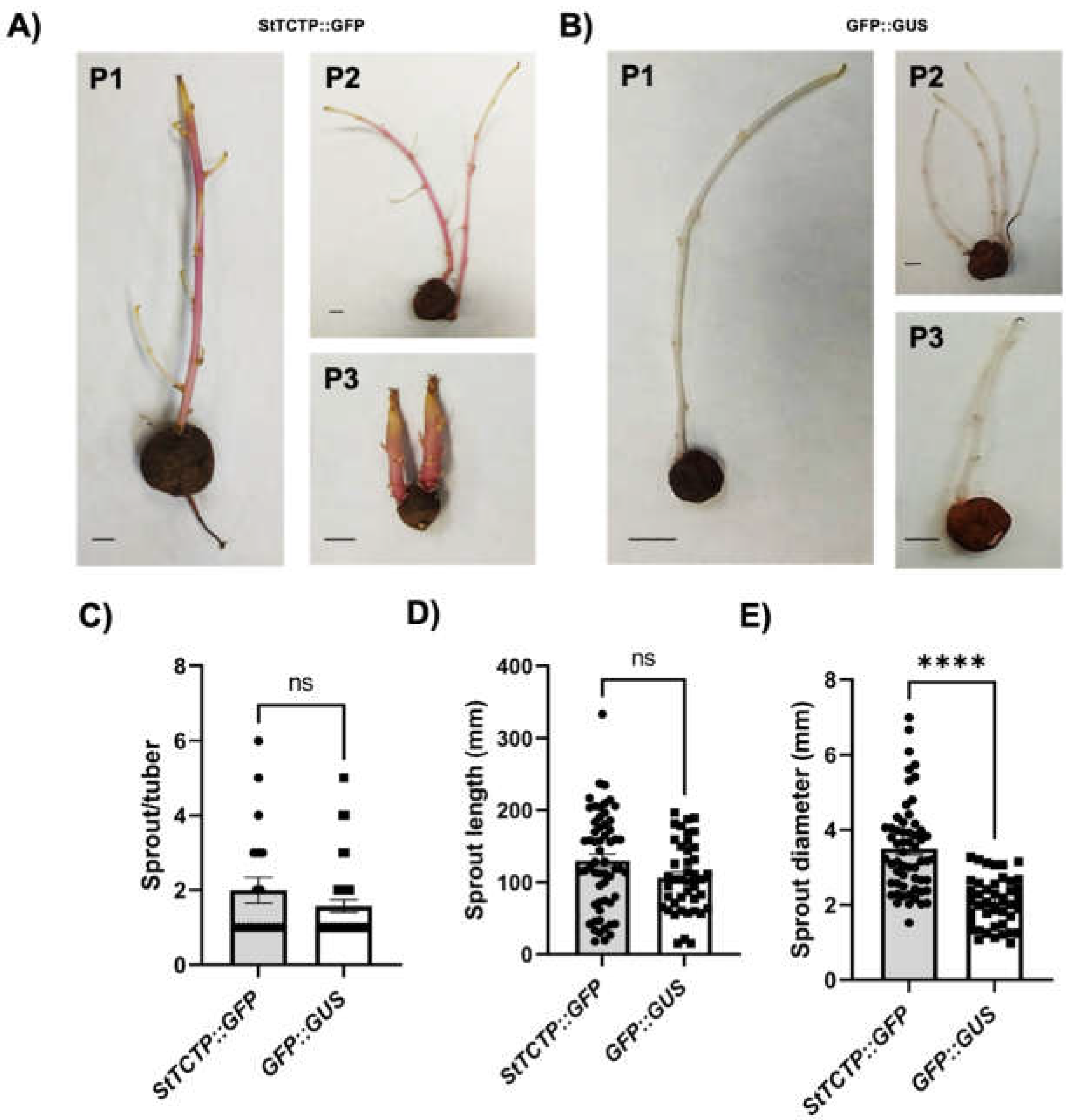 Preprints 76986 g005