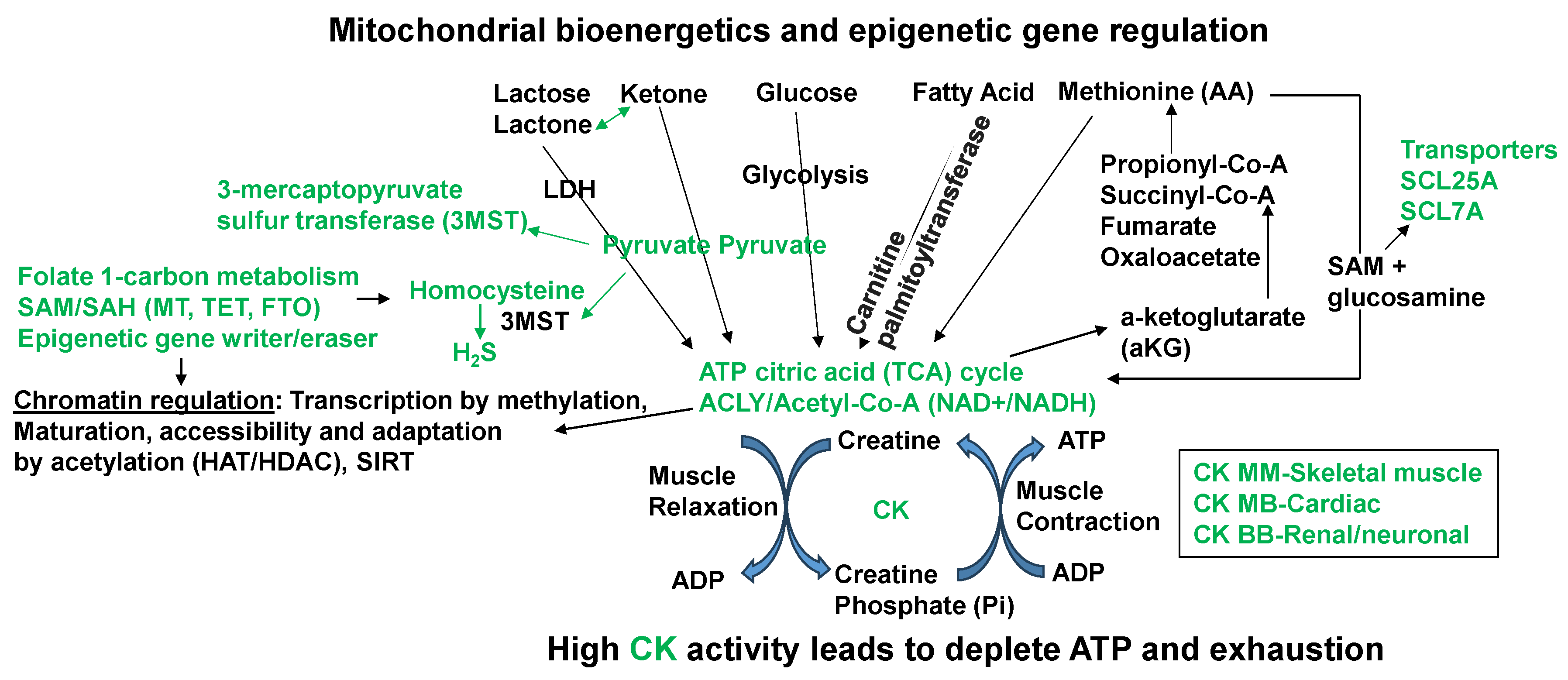 Preprints 118172 g001