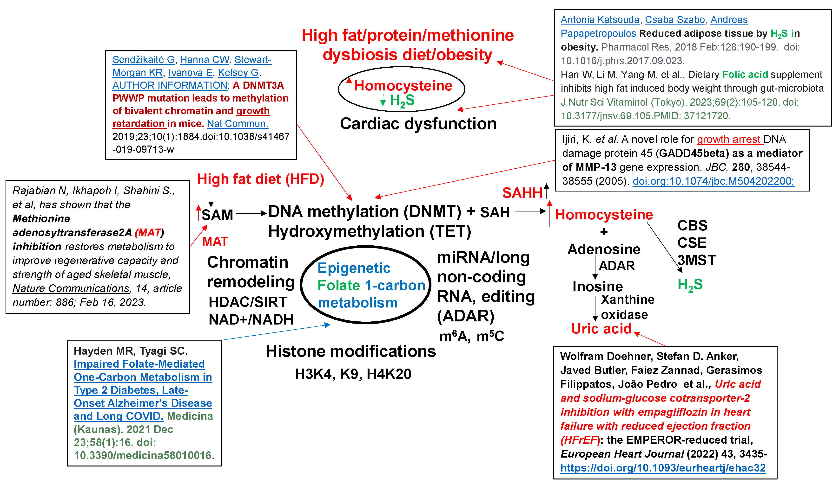 Preprints 118172 g002