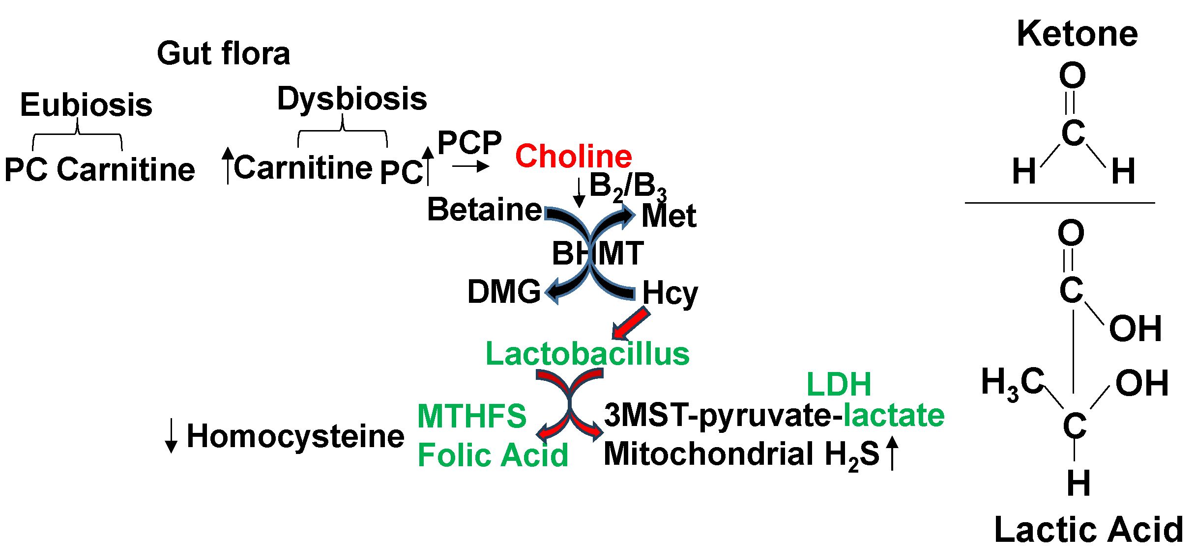 Preprints 118172 g004