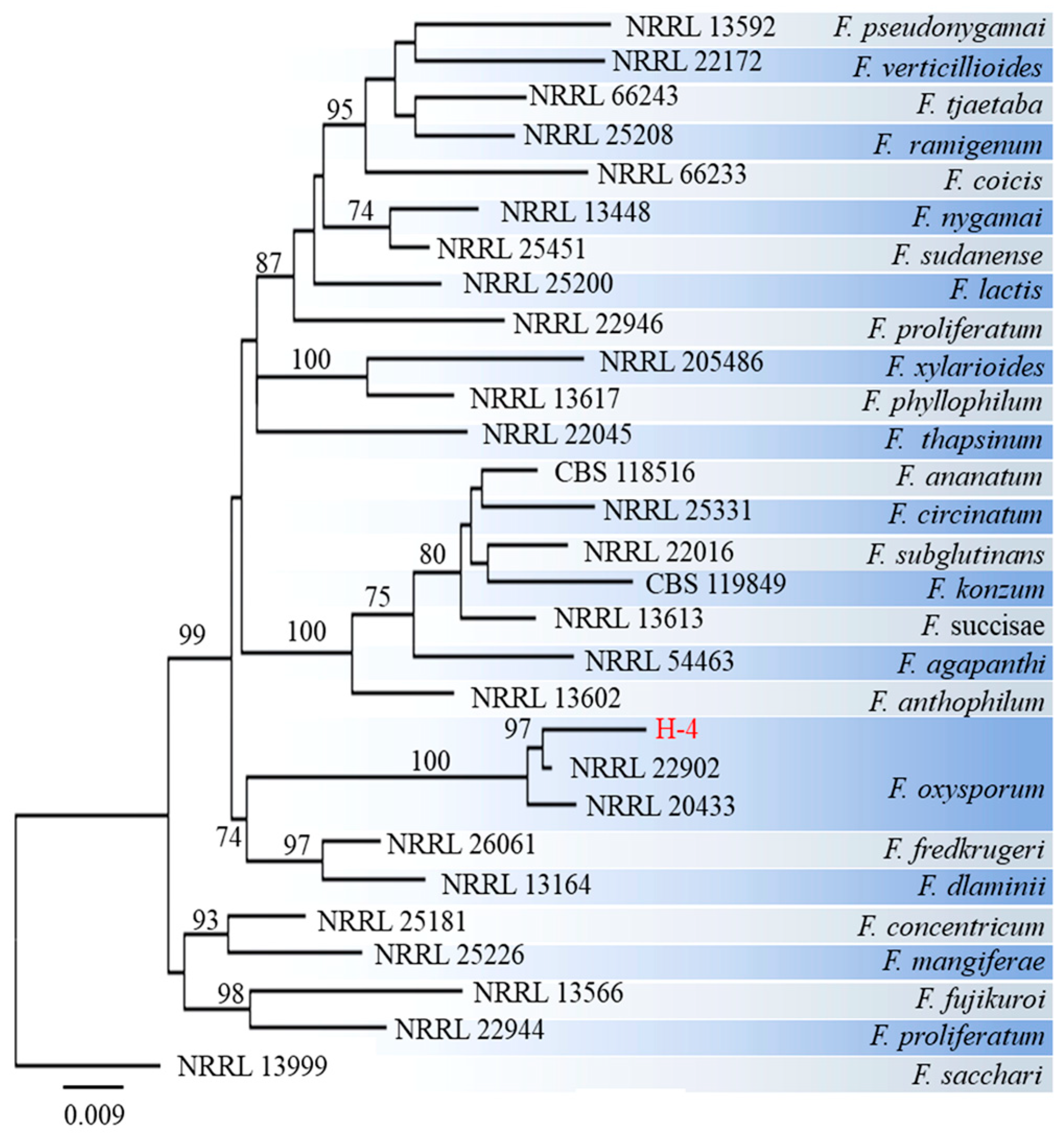 Preprints 88917 g004