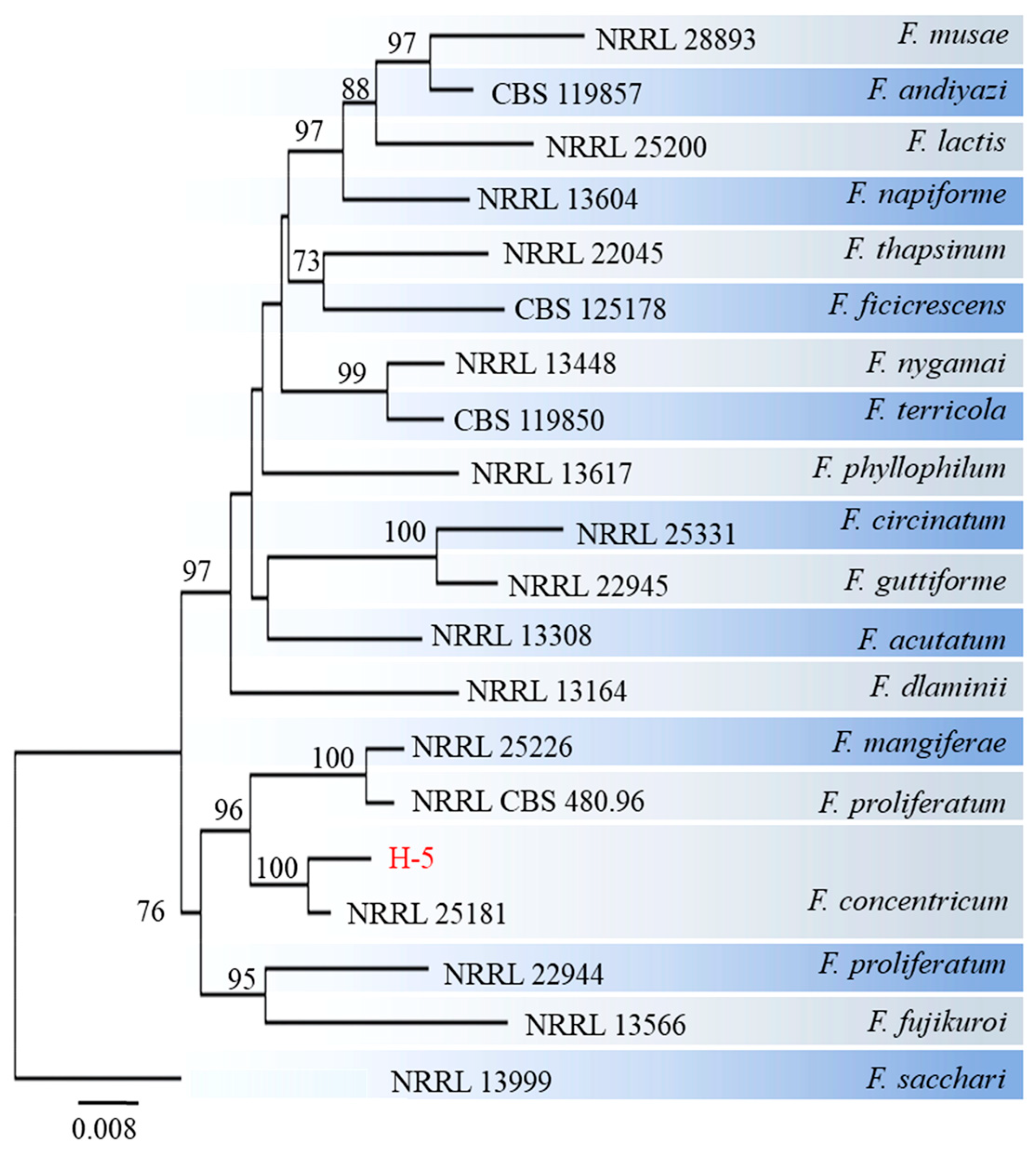 Preprints 88917 g005