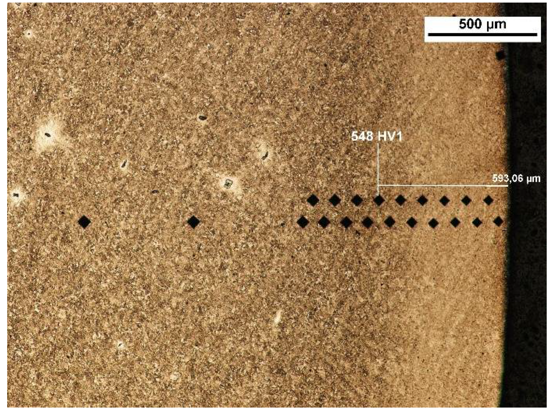 Preprints 105474 g005