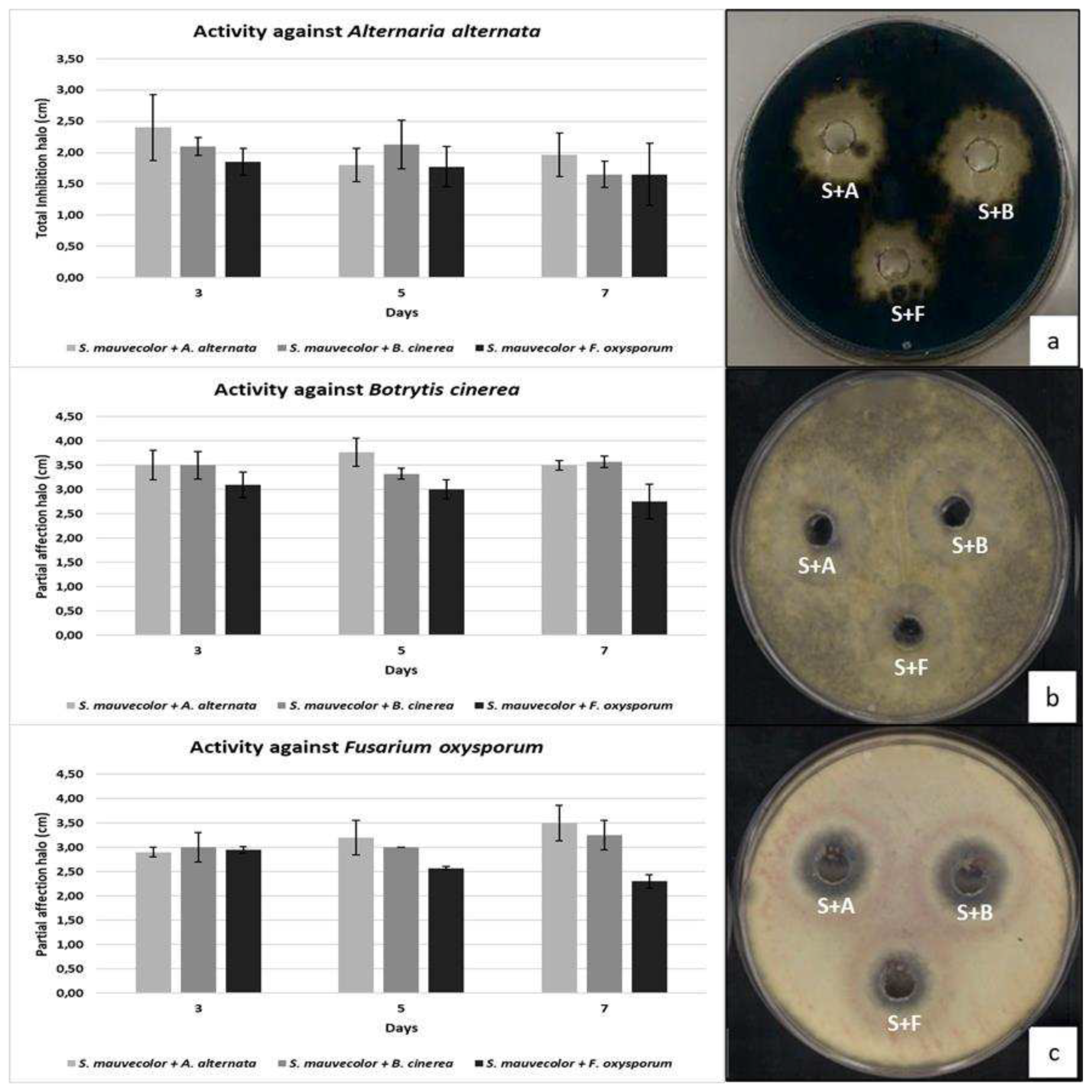 Preprints 90196 g002