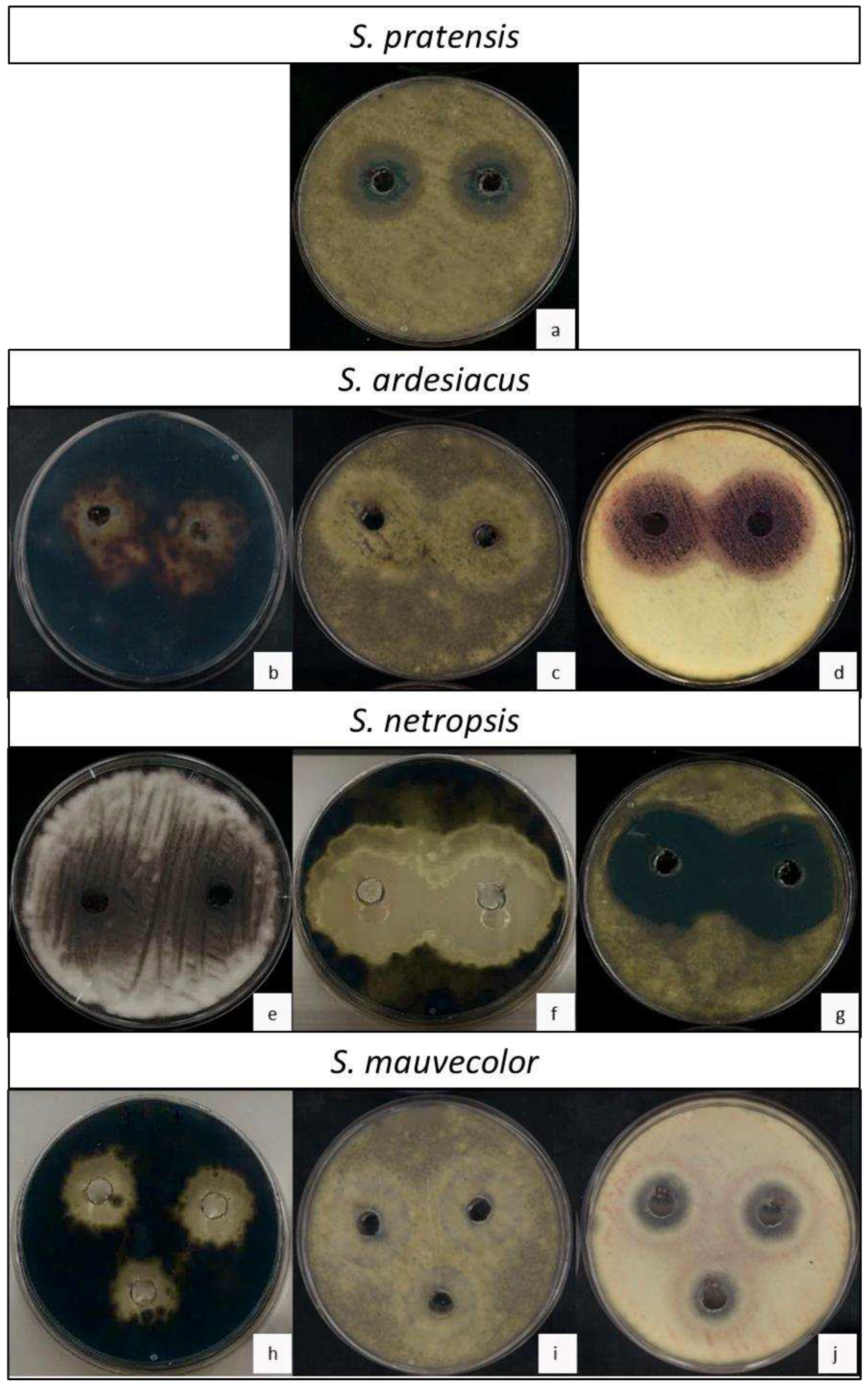 Preprints 90196 g003