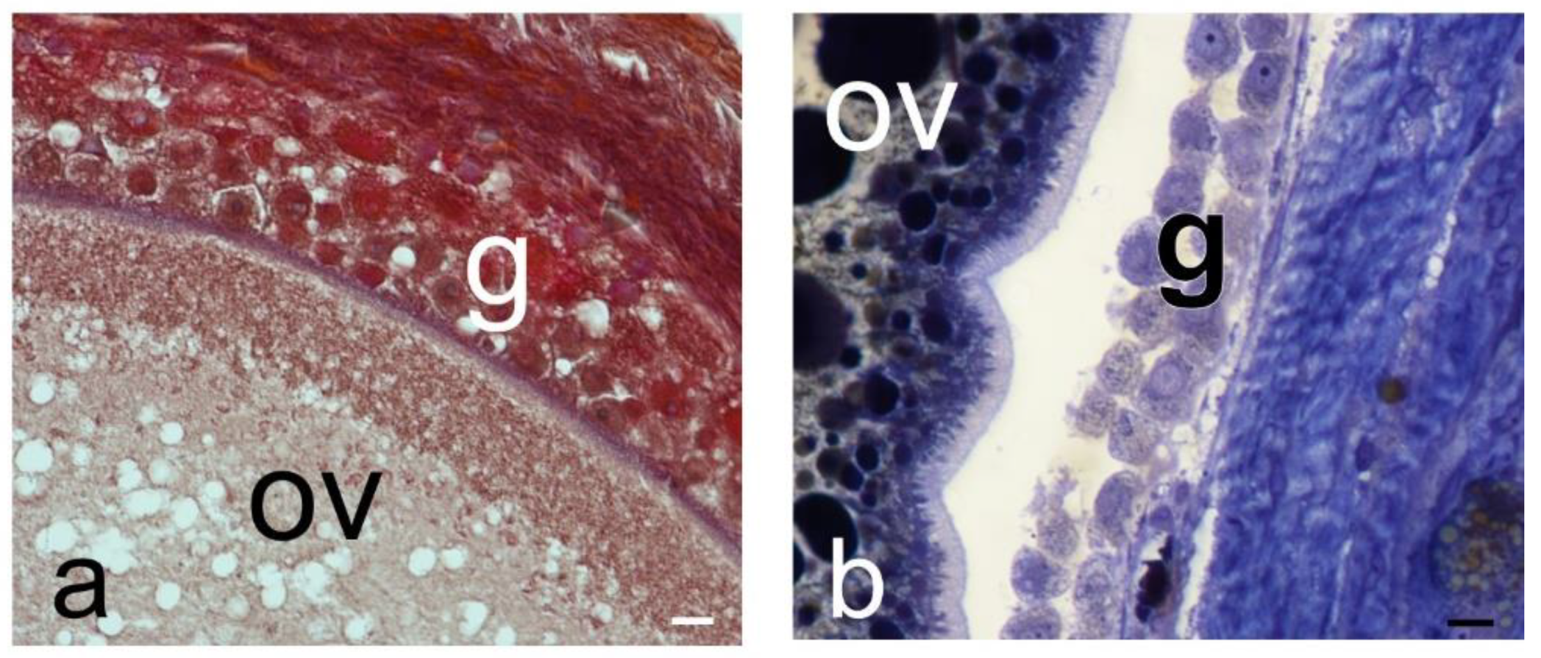 Preprints 97244 g001