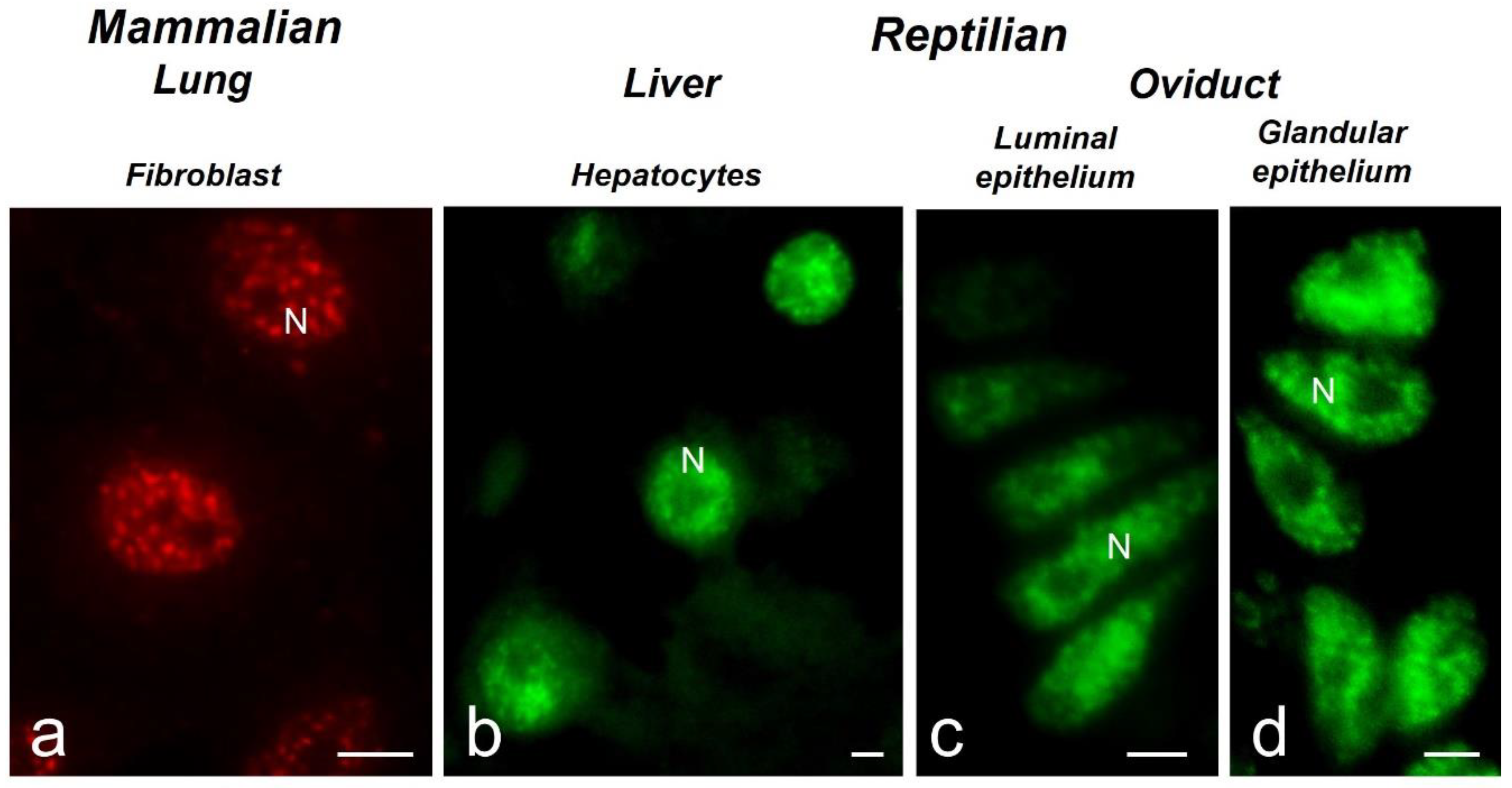 Preprints 97244 g002