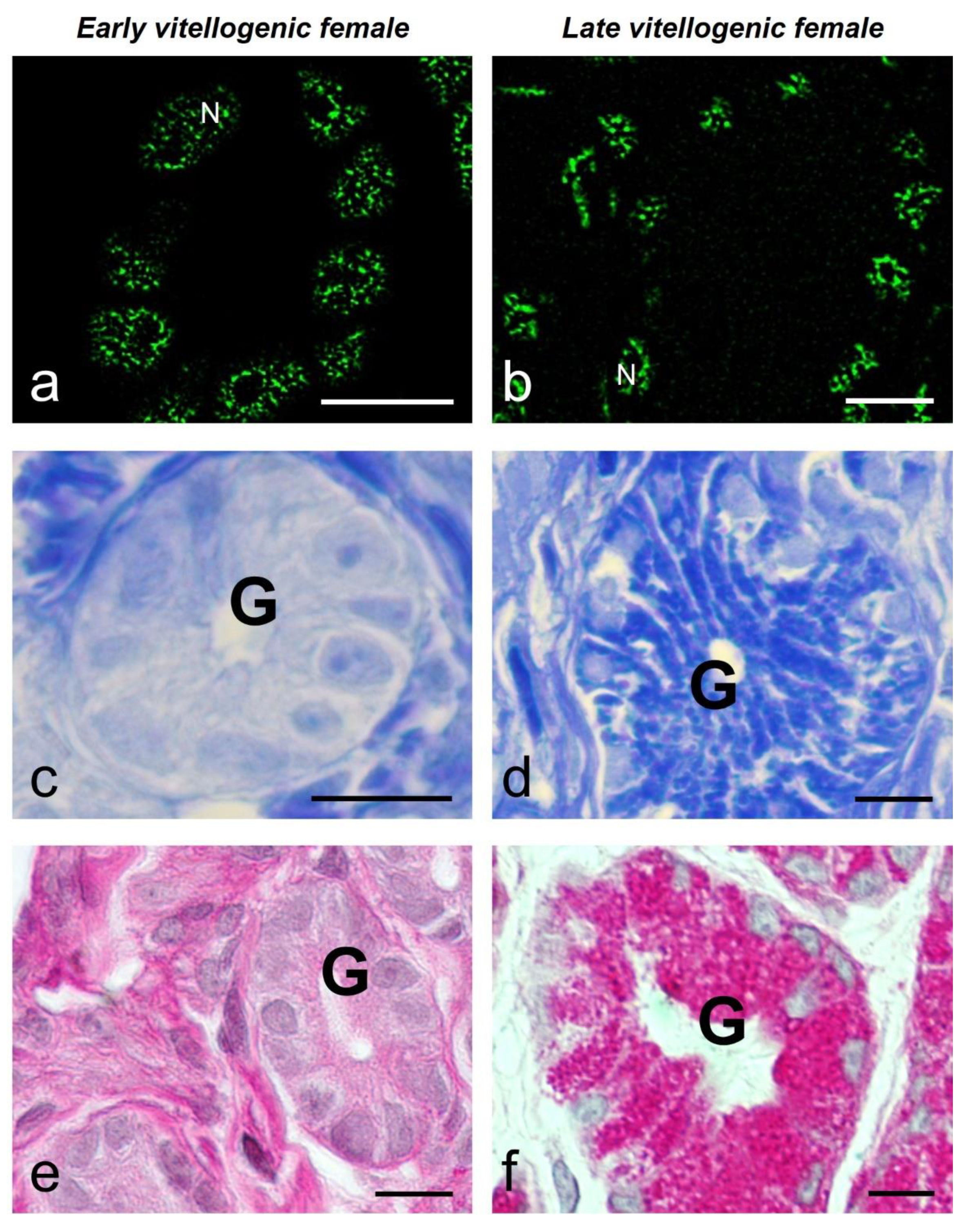 Preprints 97244 g004