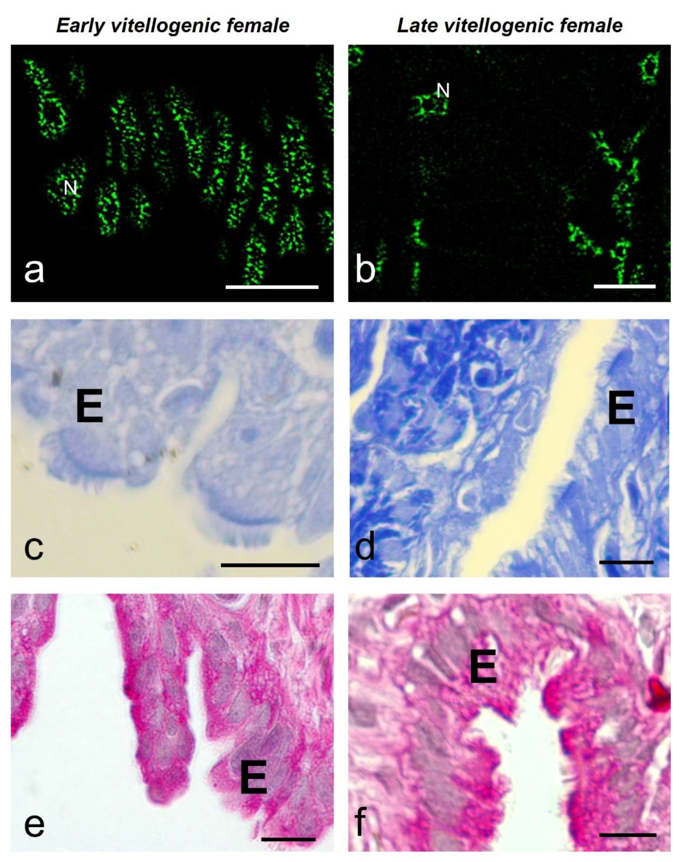 Preprints 97244 g006