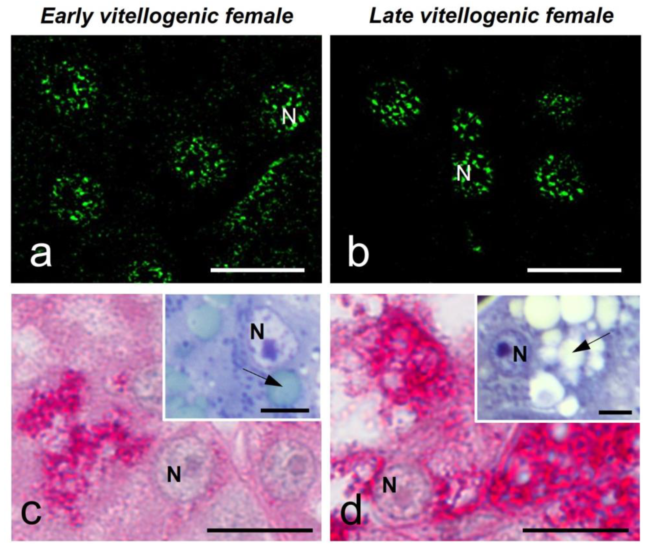 Preprints 97244 g007