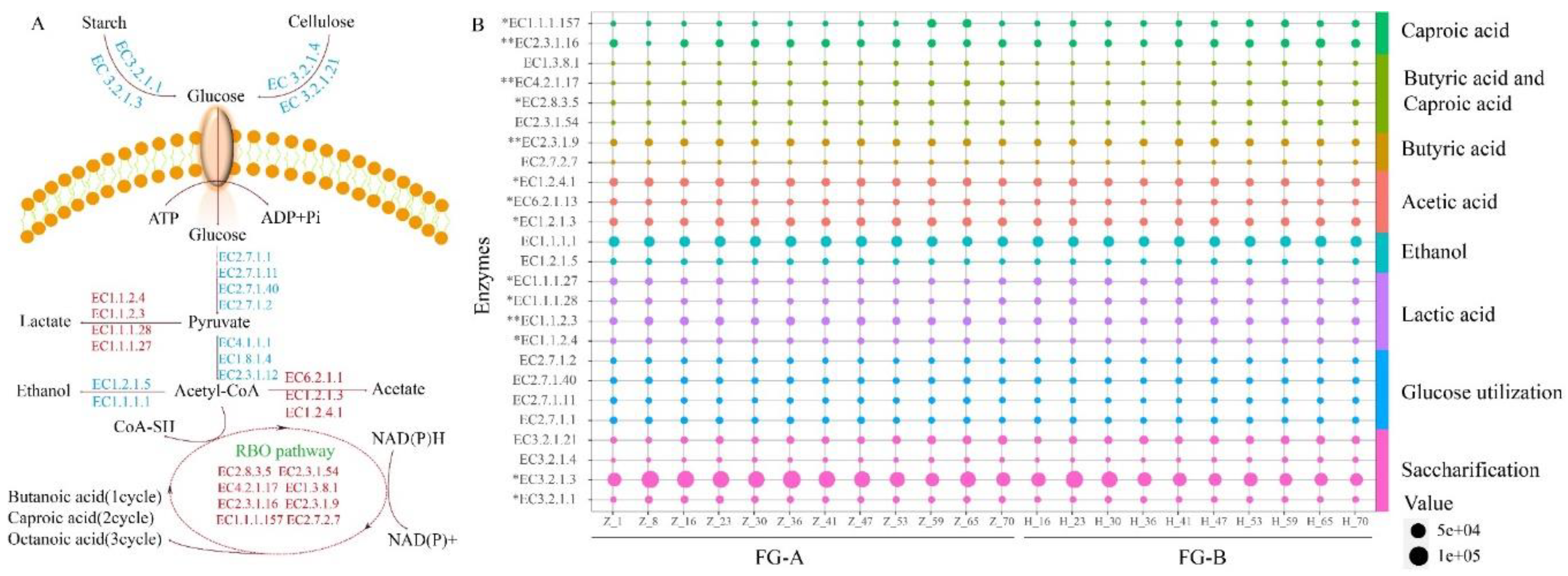 Preprints 117245 g006