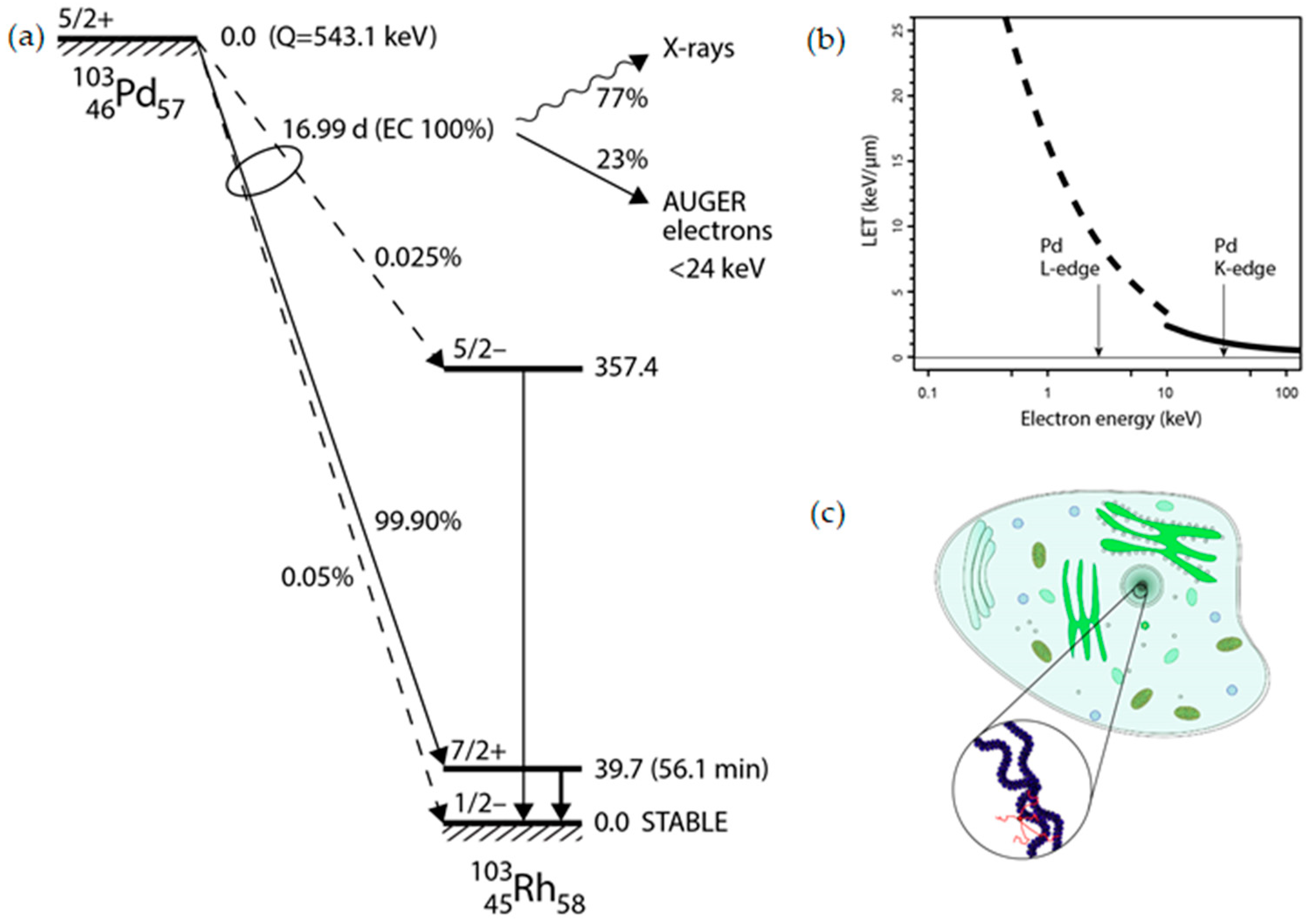 Preprints 95674 g001