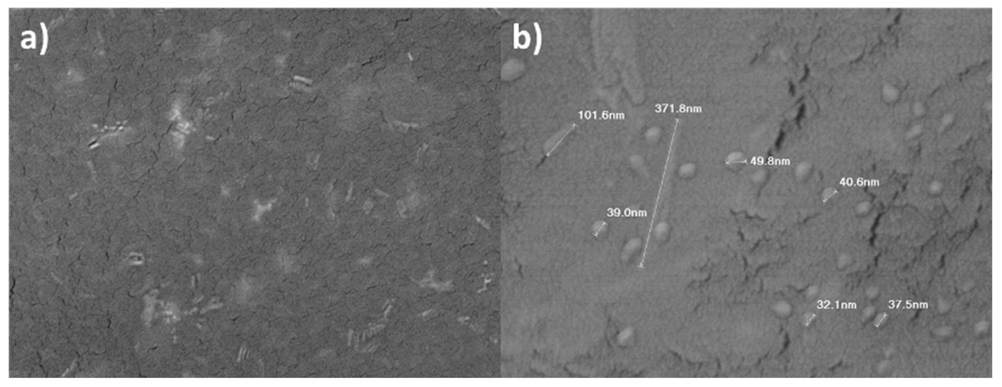 Preprints 91969 g006