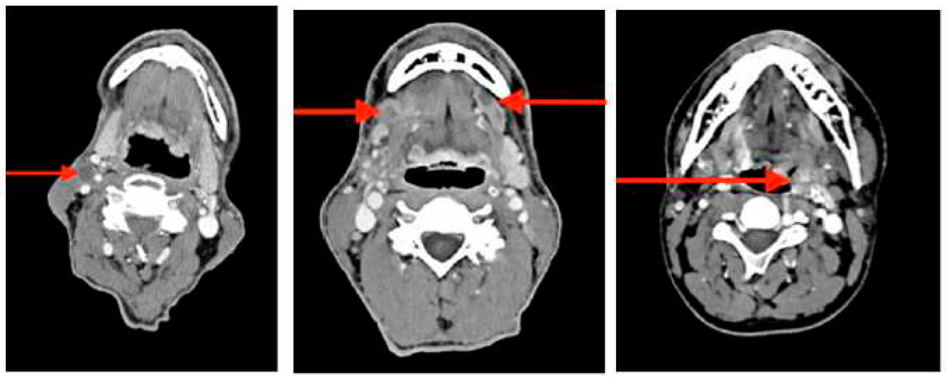 Preprints 83164 g002