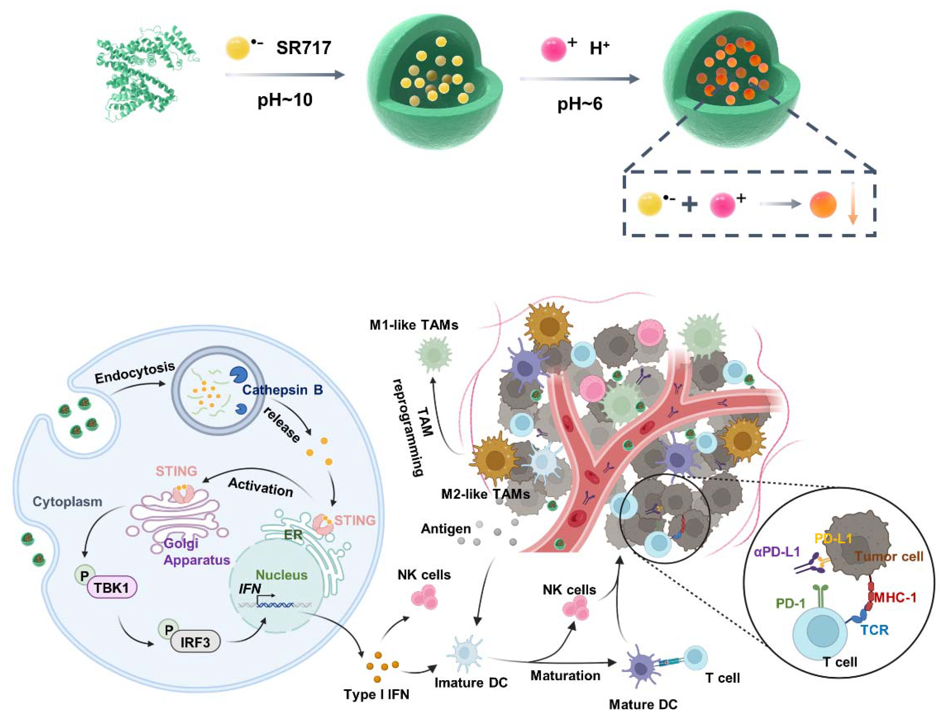 Preprints 113489 sch001