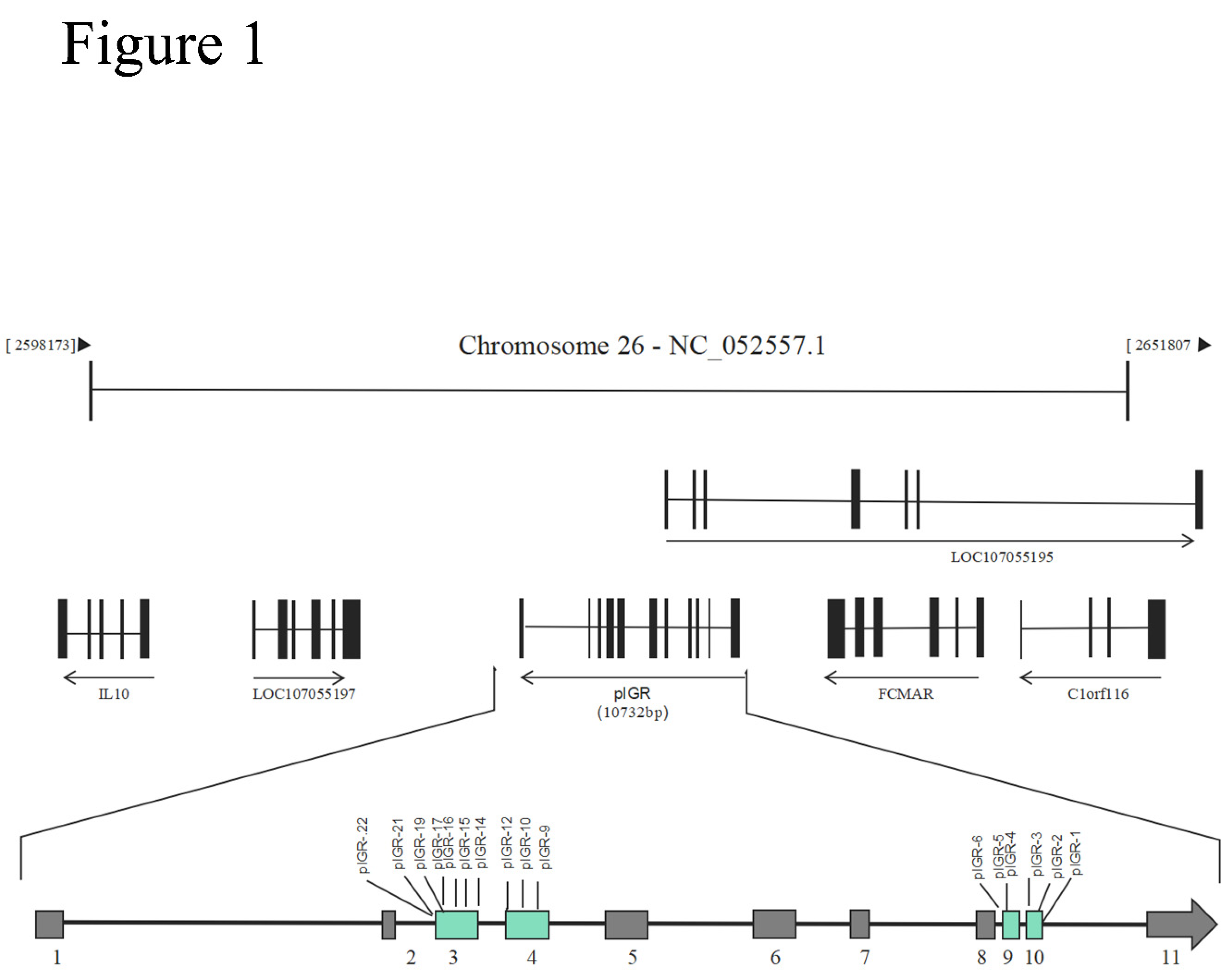 Preprints 82672 g001