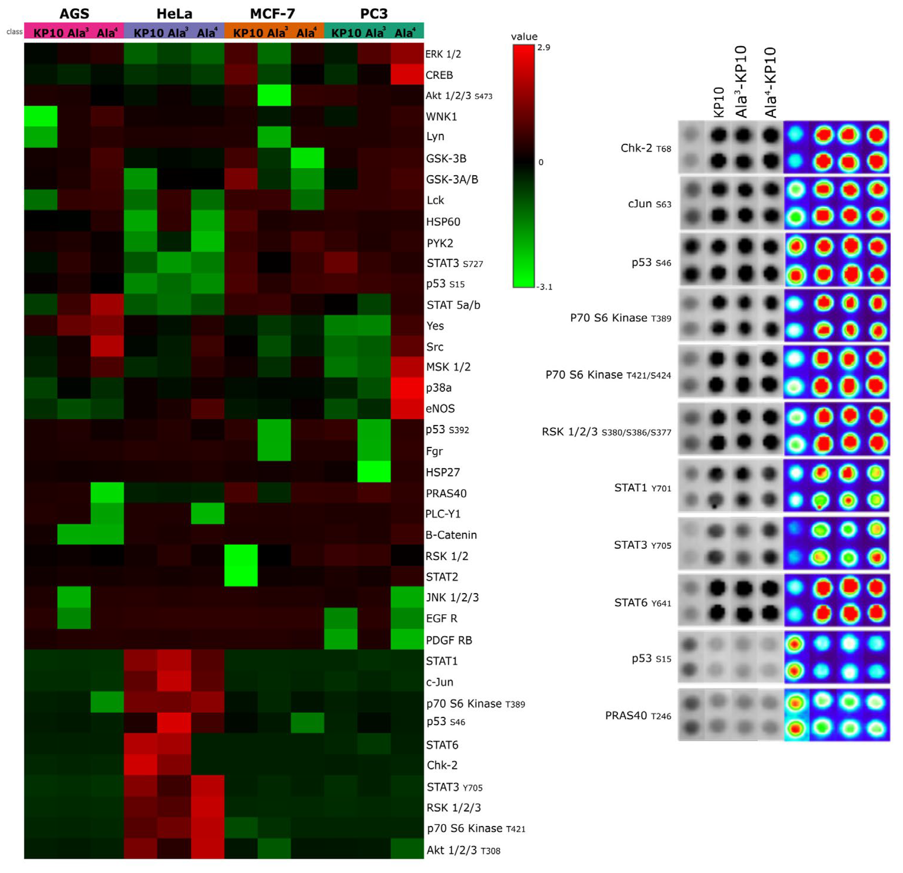 Preprints 107106 g001