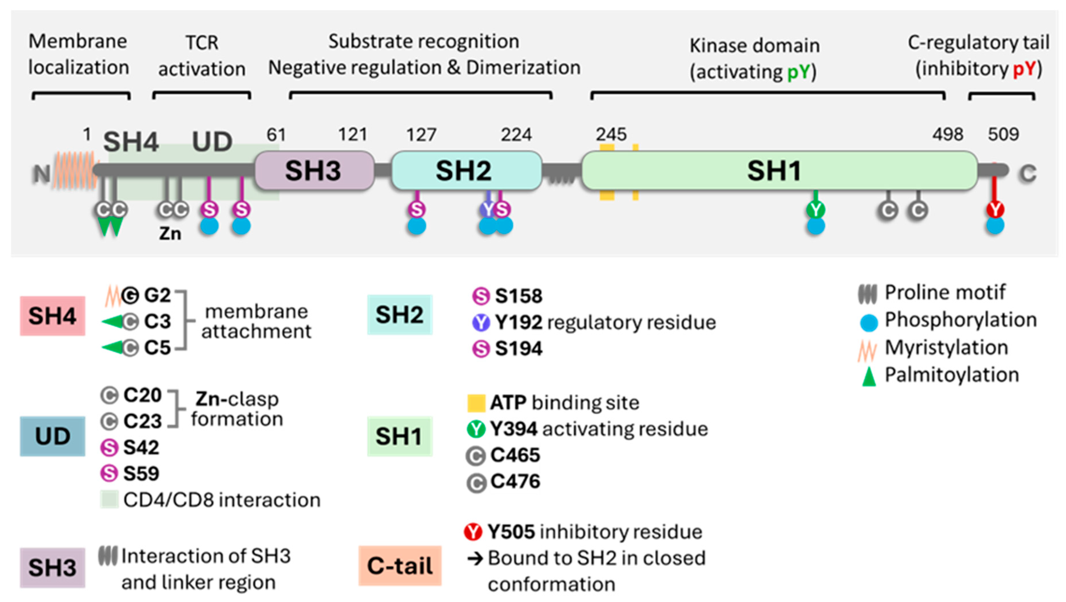 Preprints 111180 g001