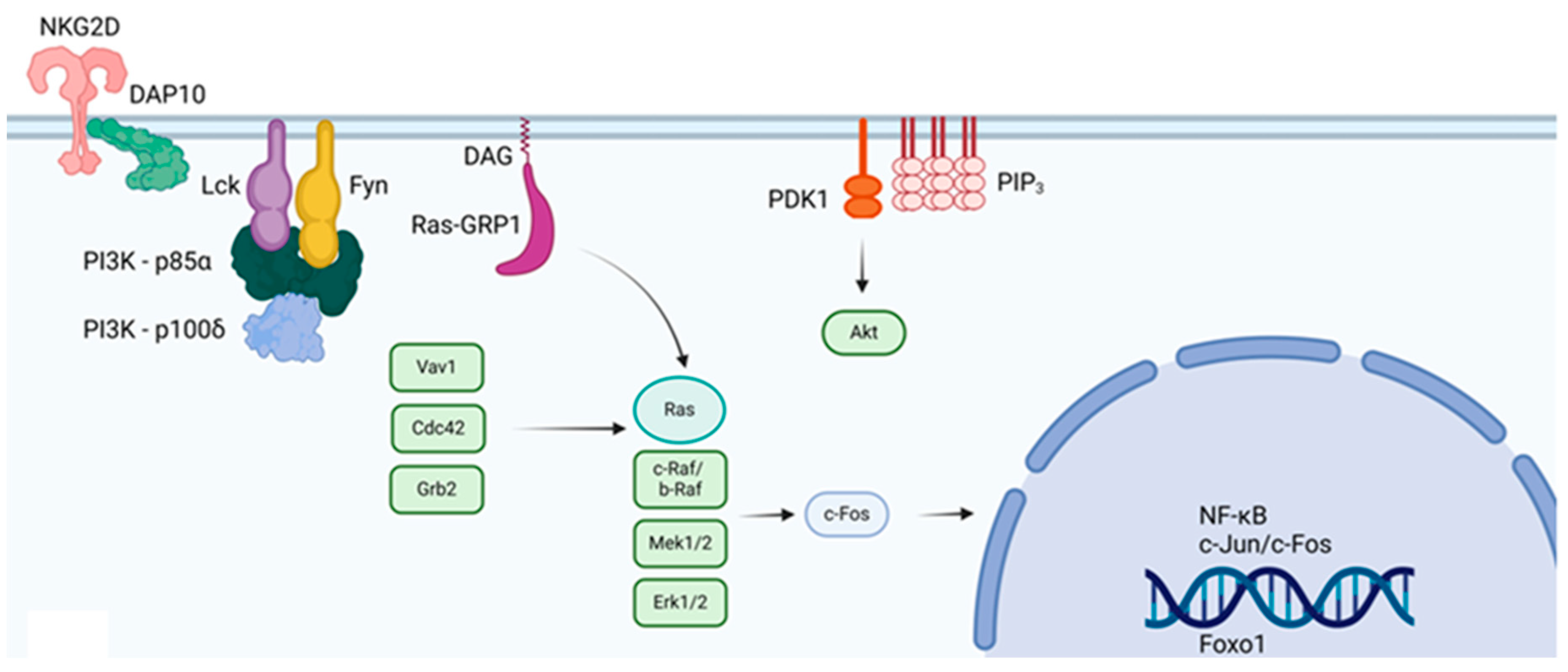 Preprints 111180 g006