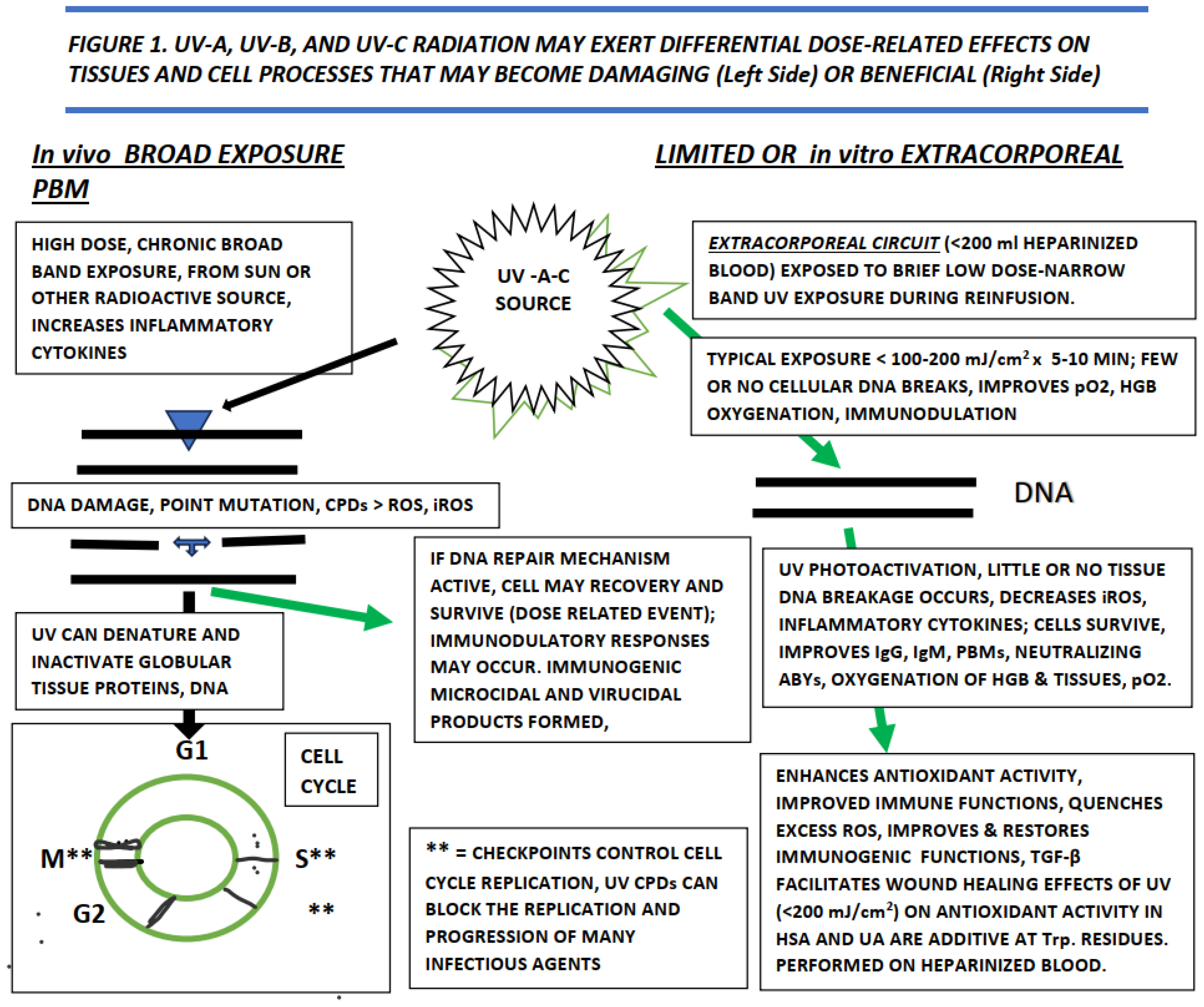 Preprints 94189 g001