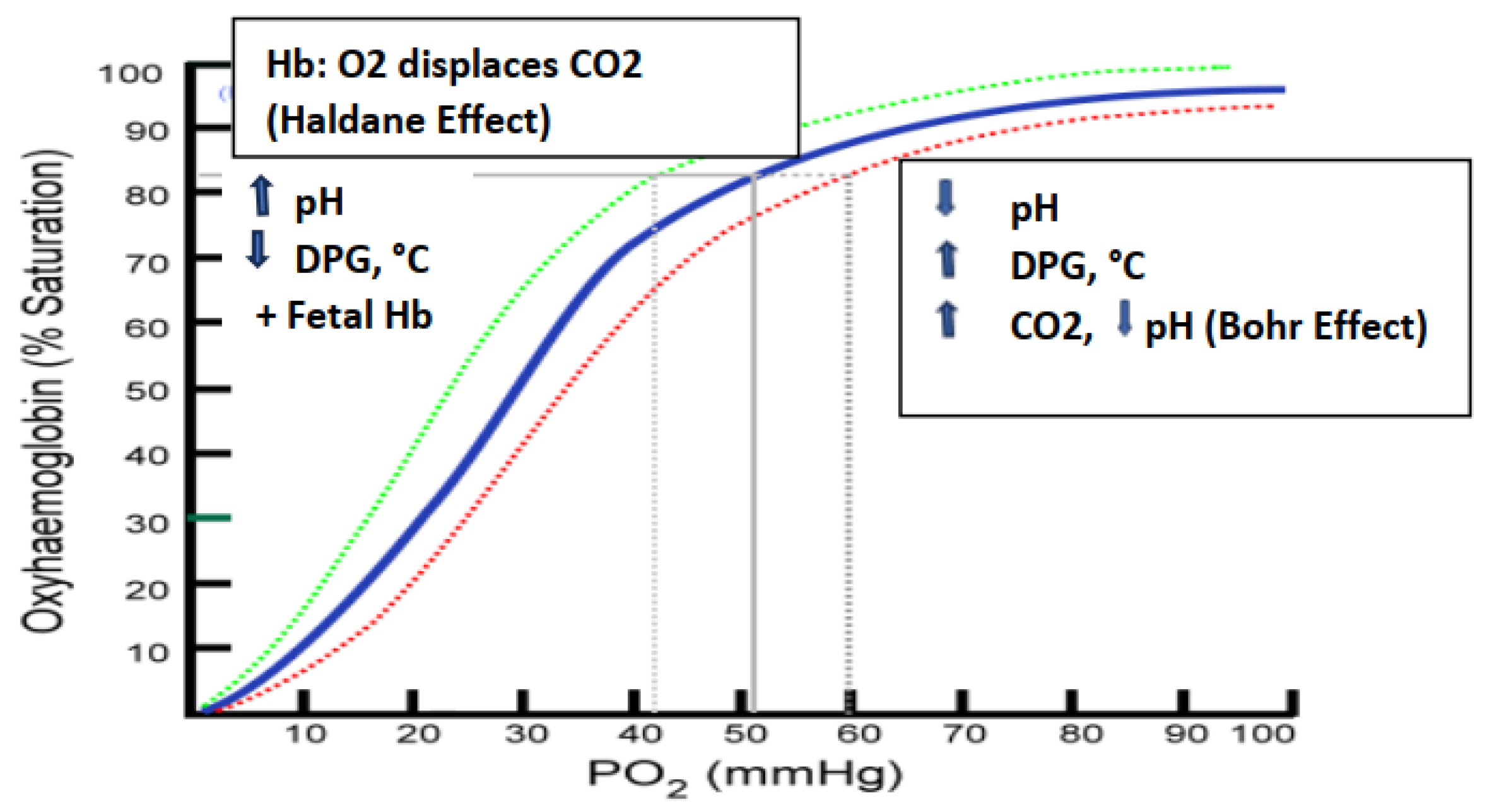 Preprints 94189 g005