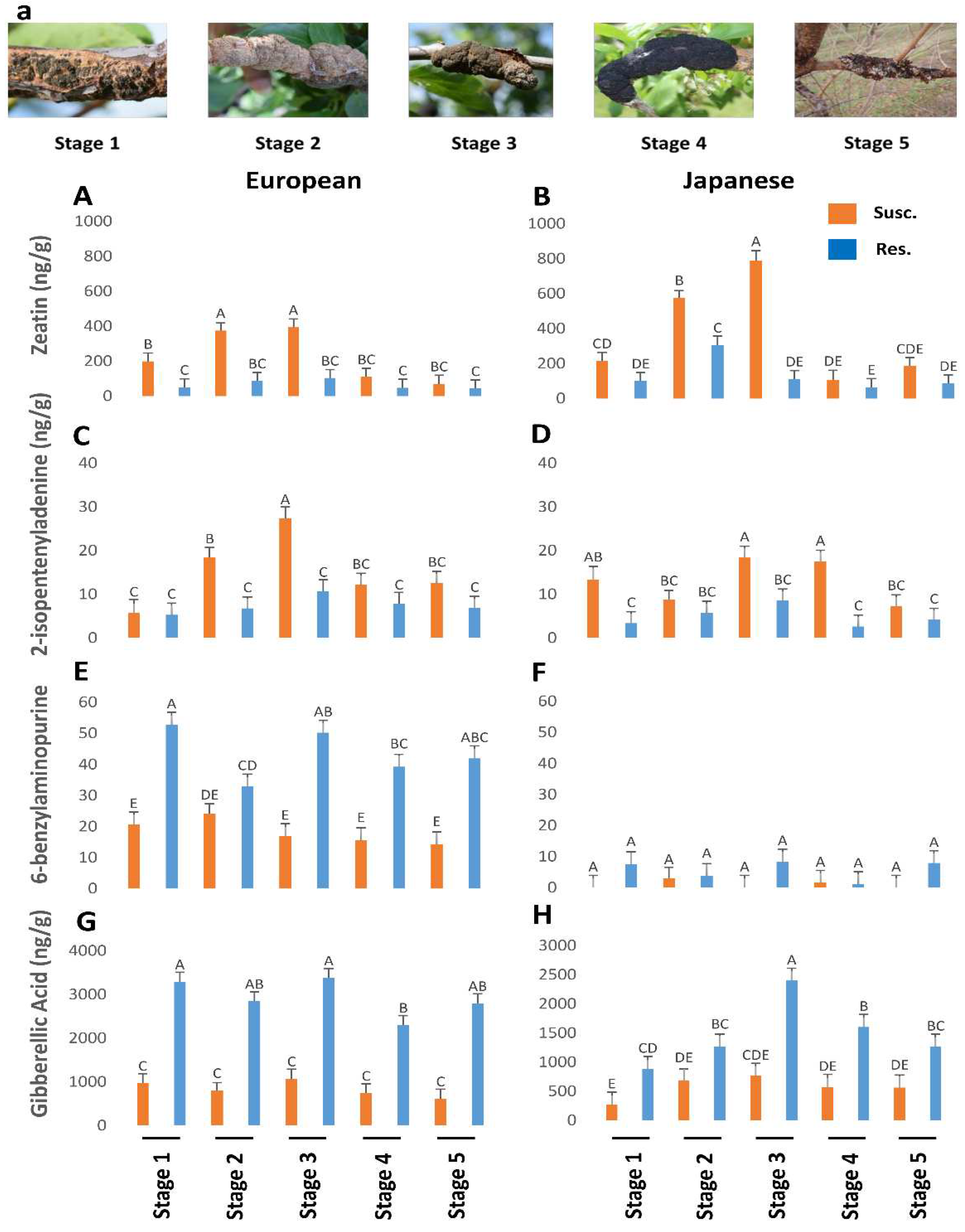 Preprints 90072 g002