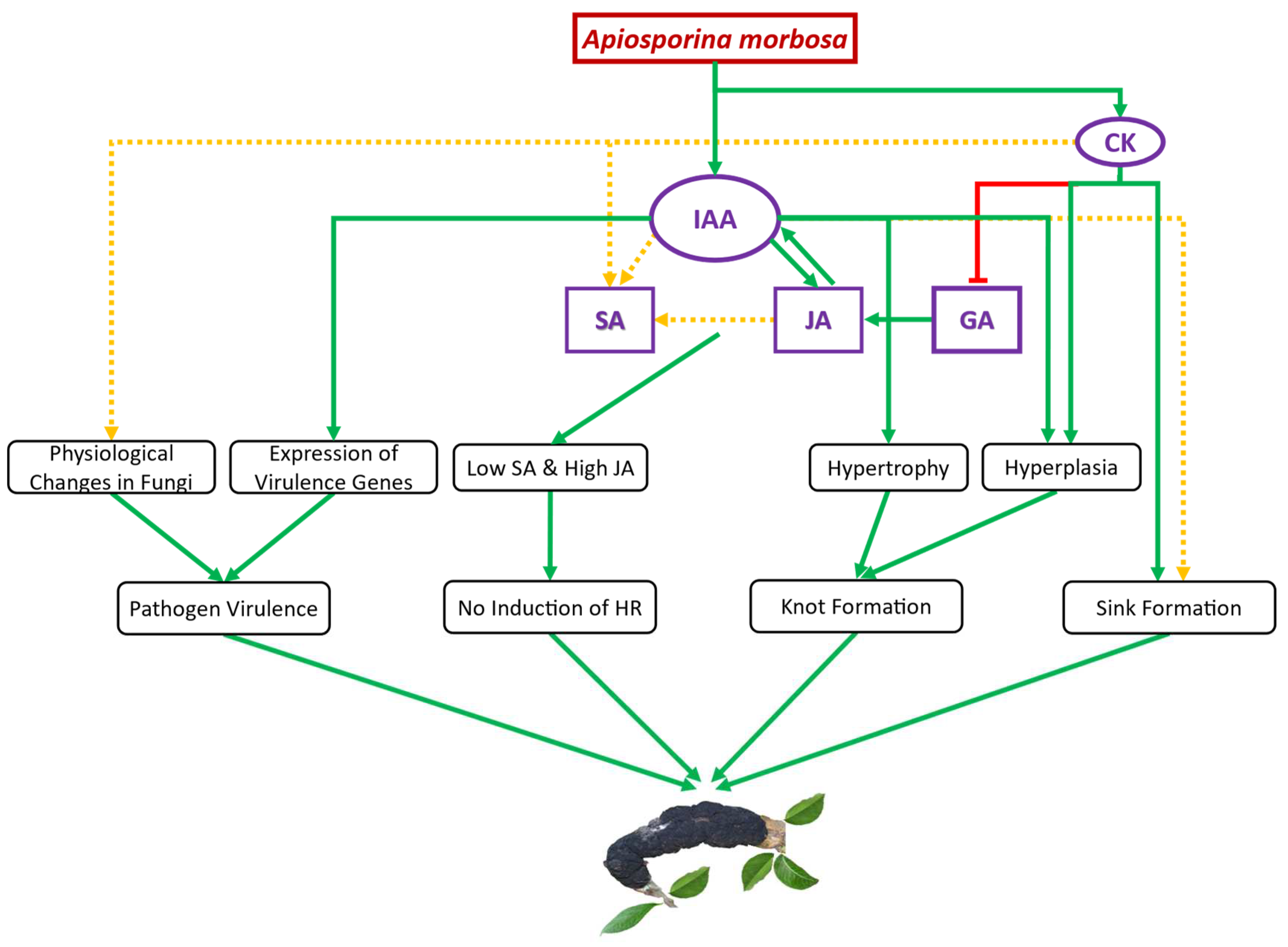 Preprints 90072 g005