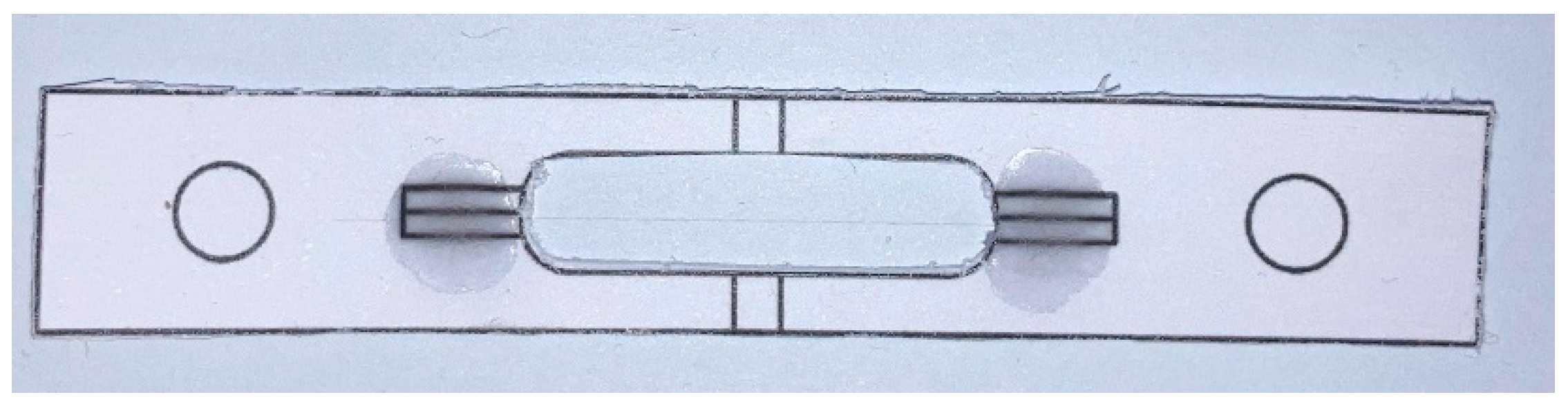 Preprints 98432 g002