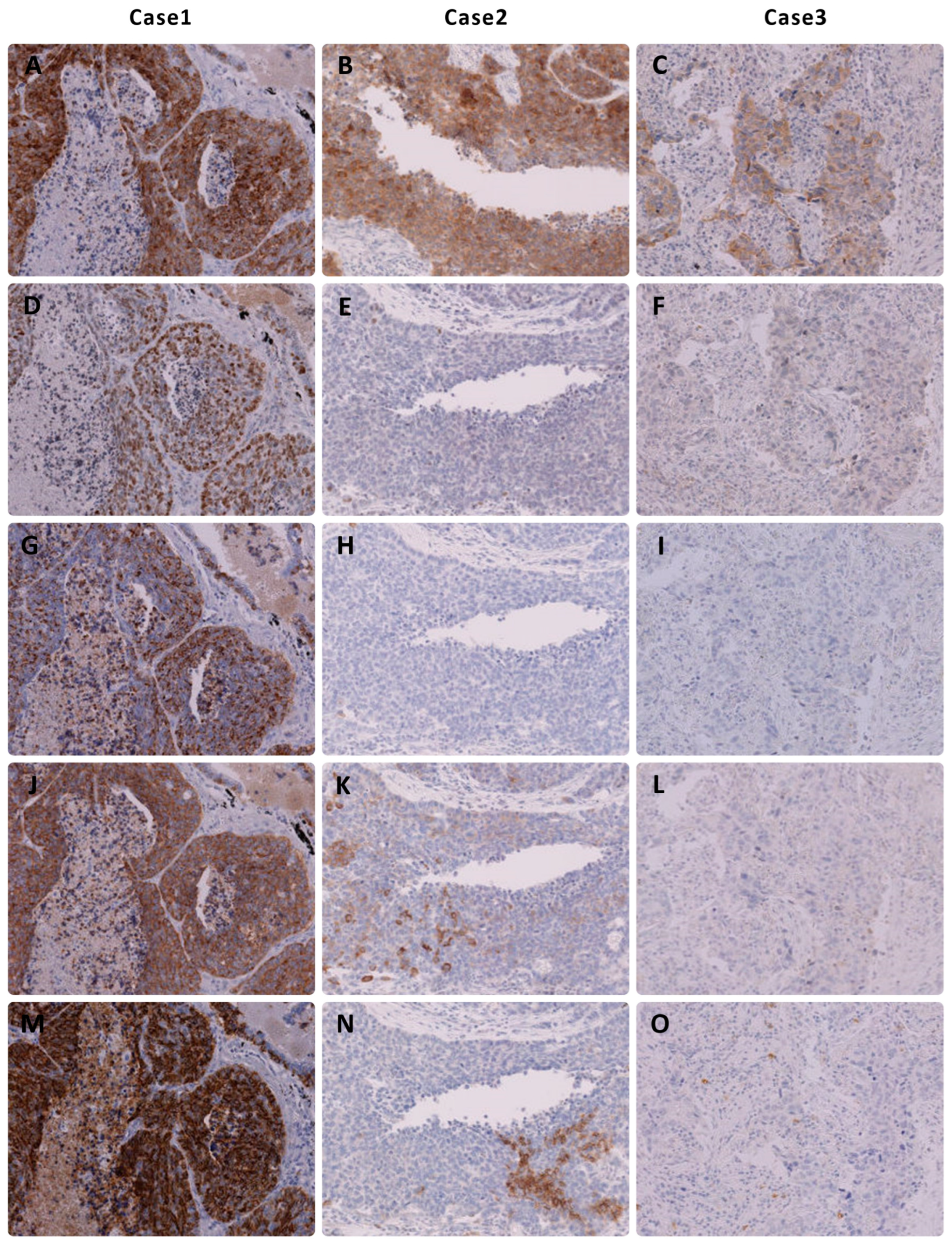 Preprints 90460 g002