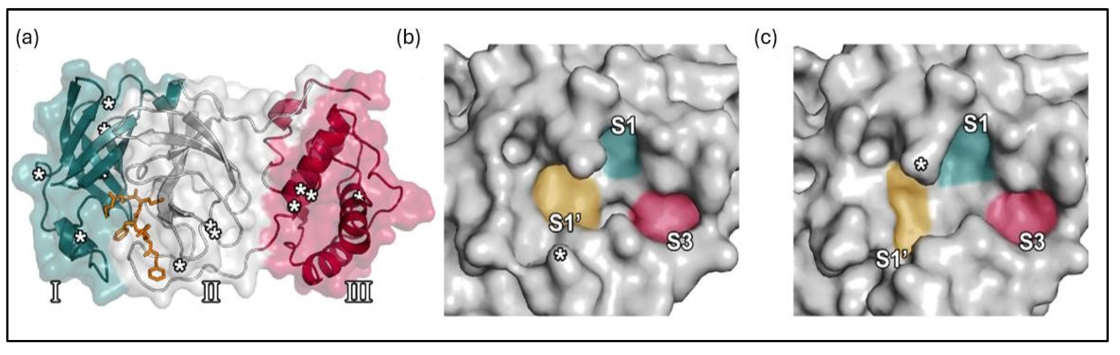 Preprints 116959 g004