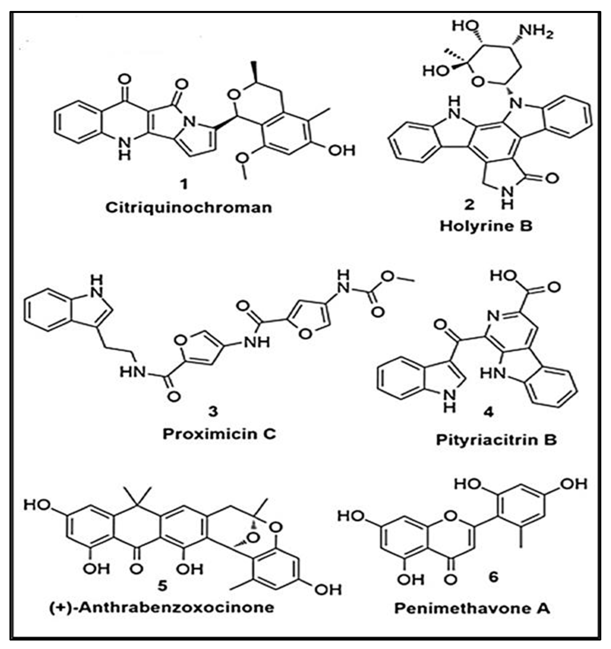 Preprints 116959 g006