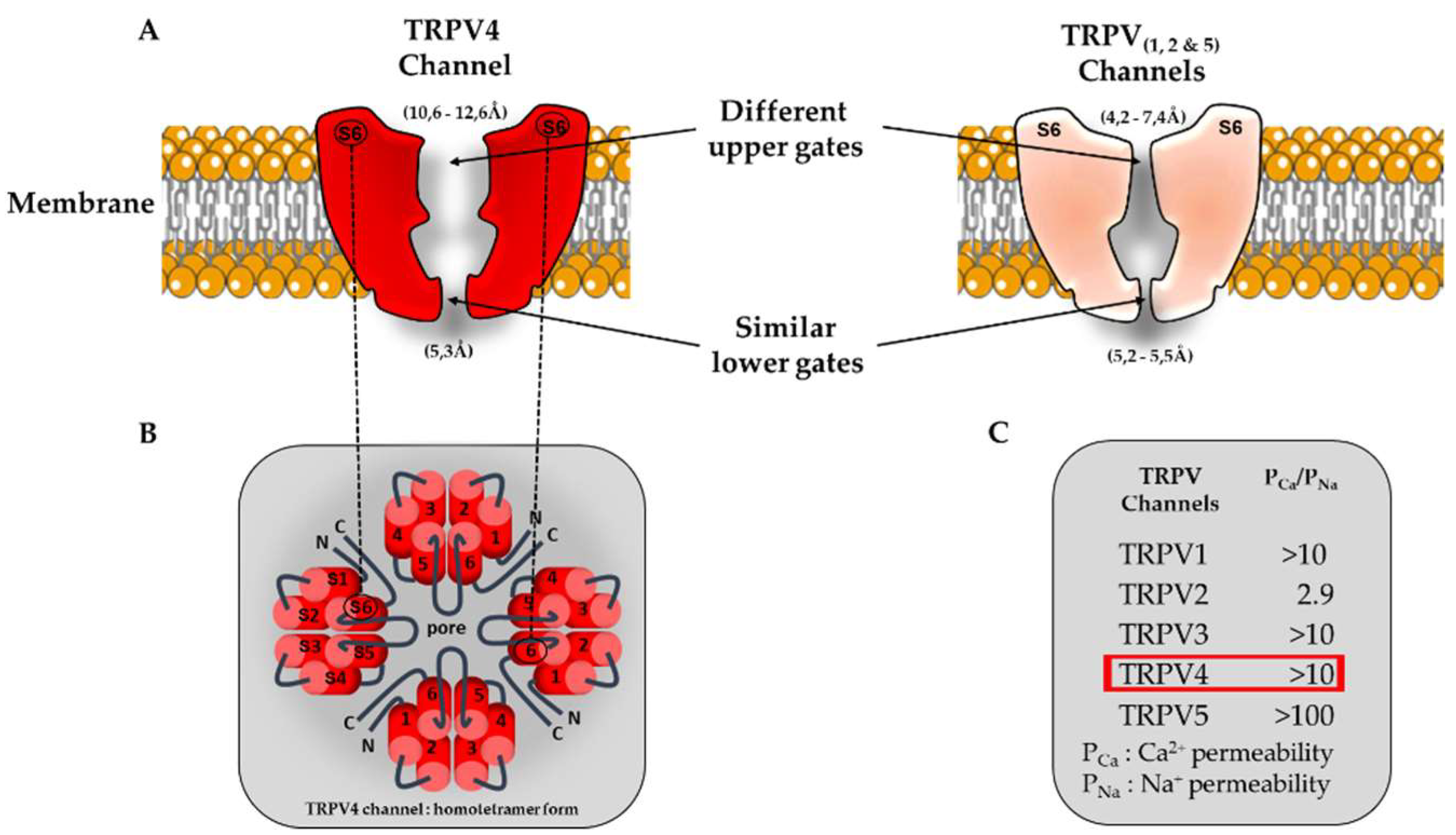 Preprints 72272 g001