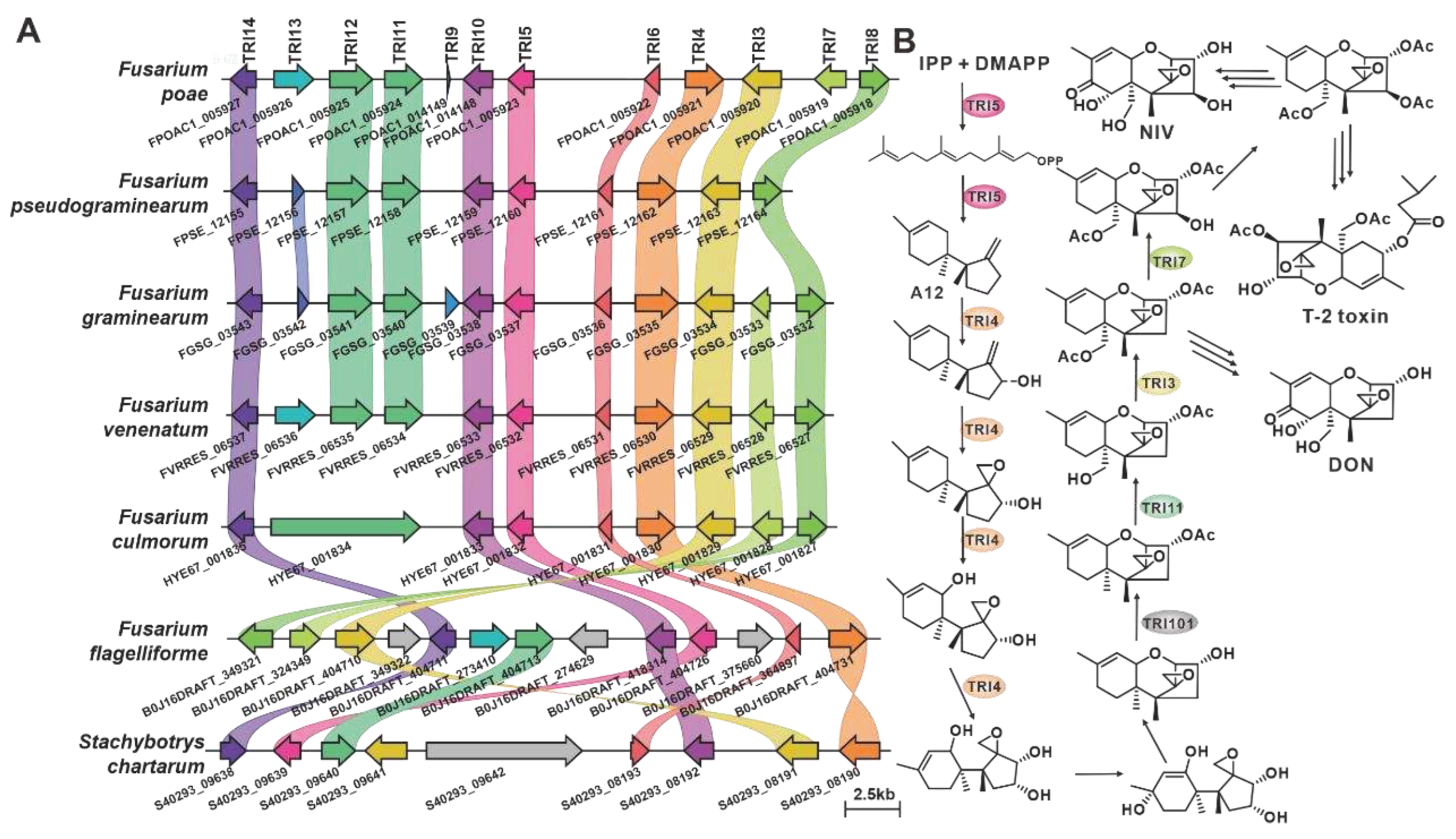 Preprints 79469 g004