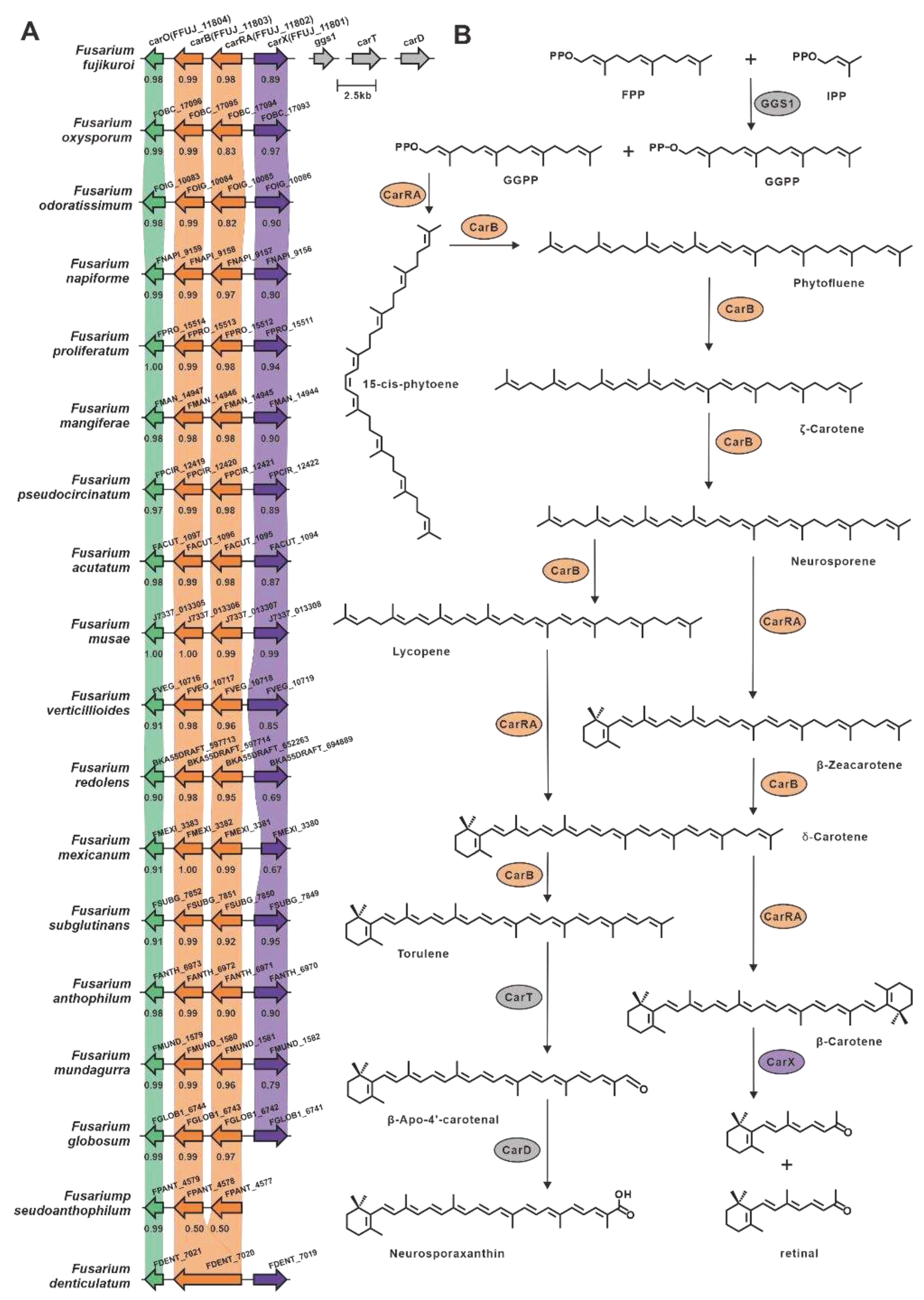 Preprints 79469 g006