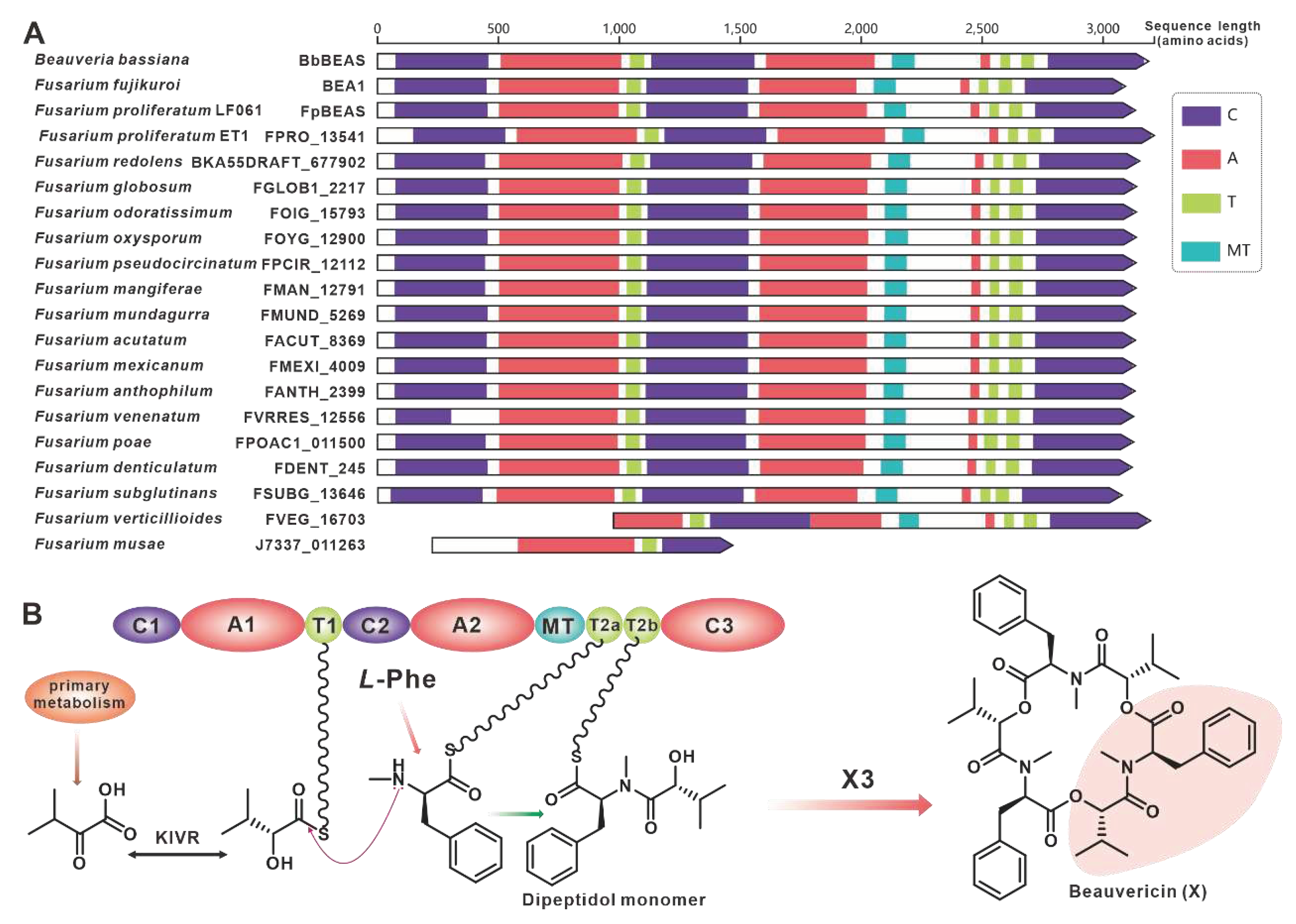 Preprints 79469 g008