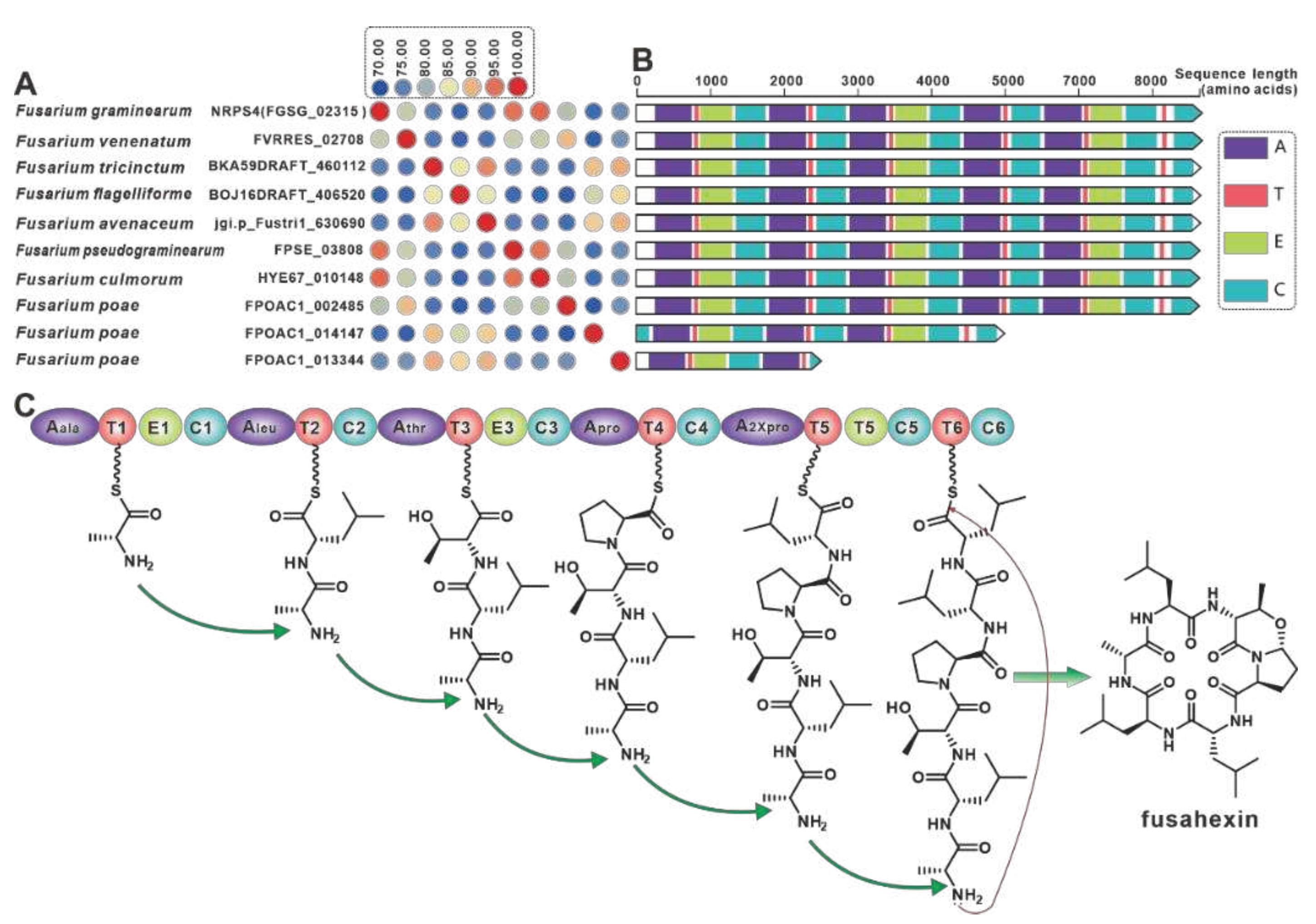 Preprints 79469 g009