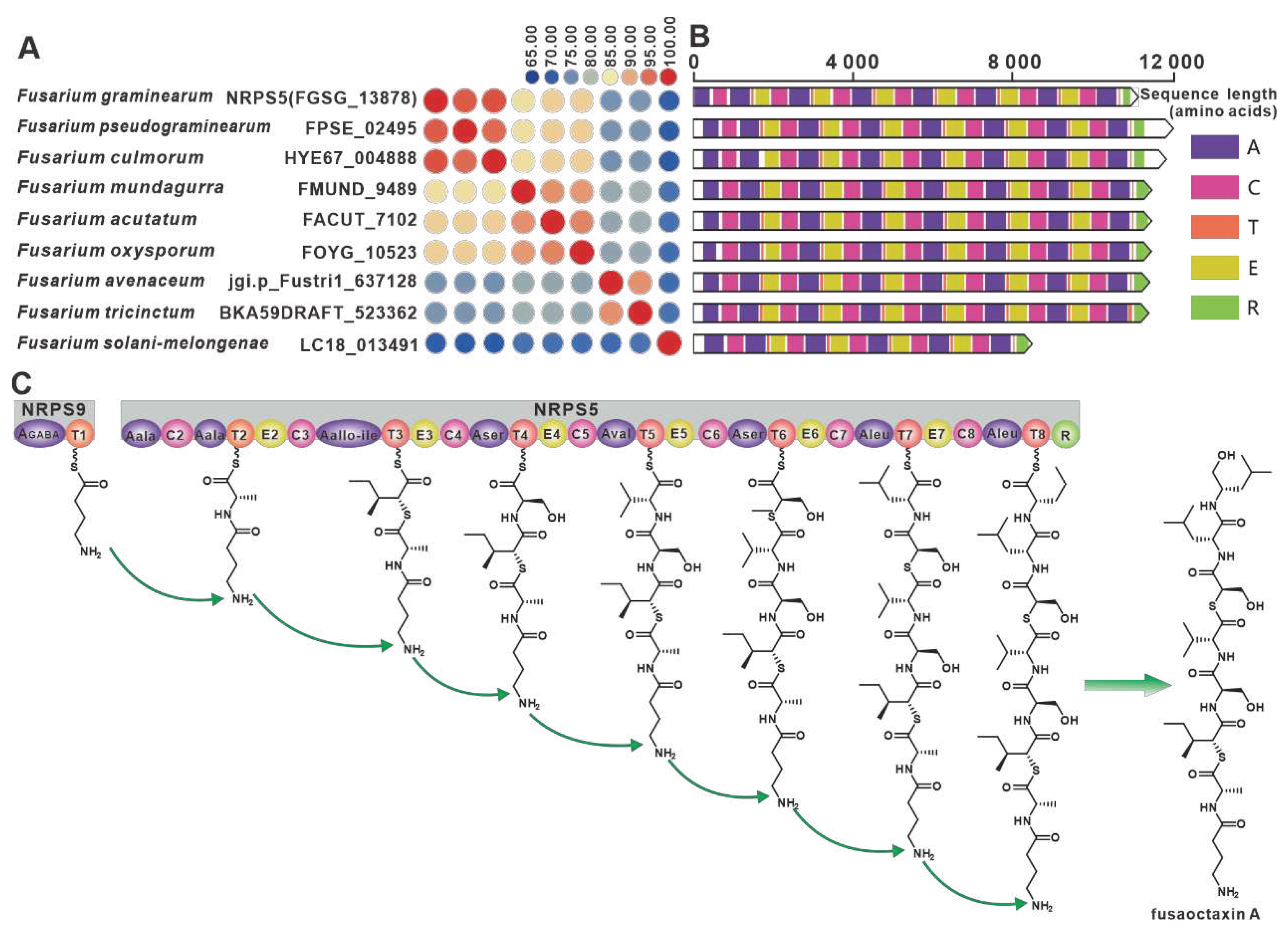 Preprints 79469 g010