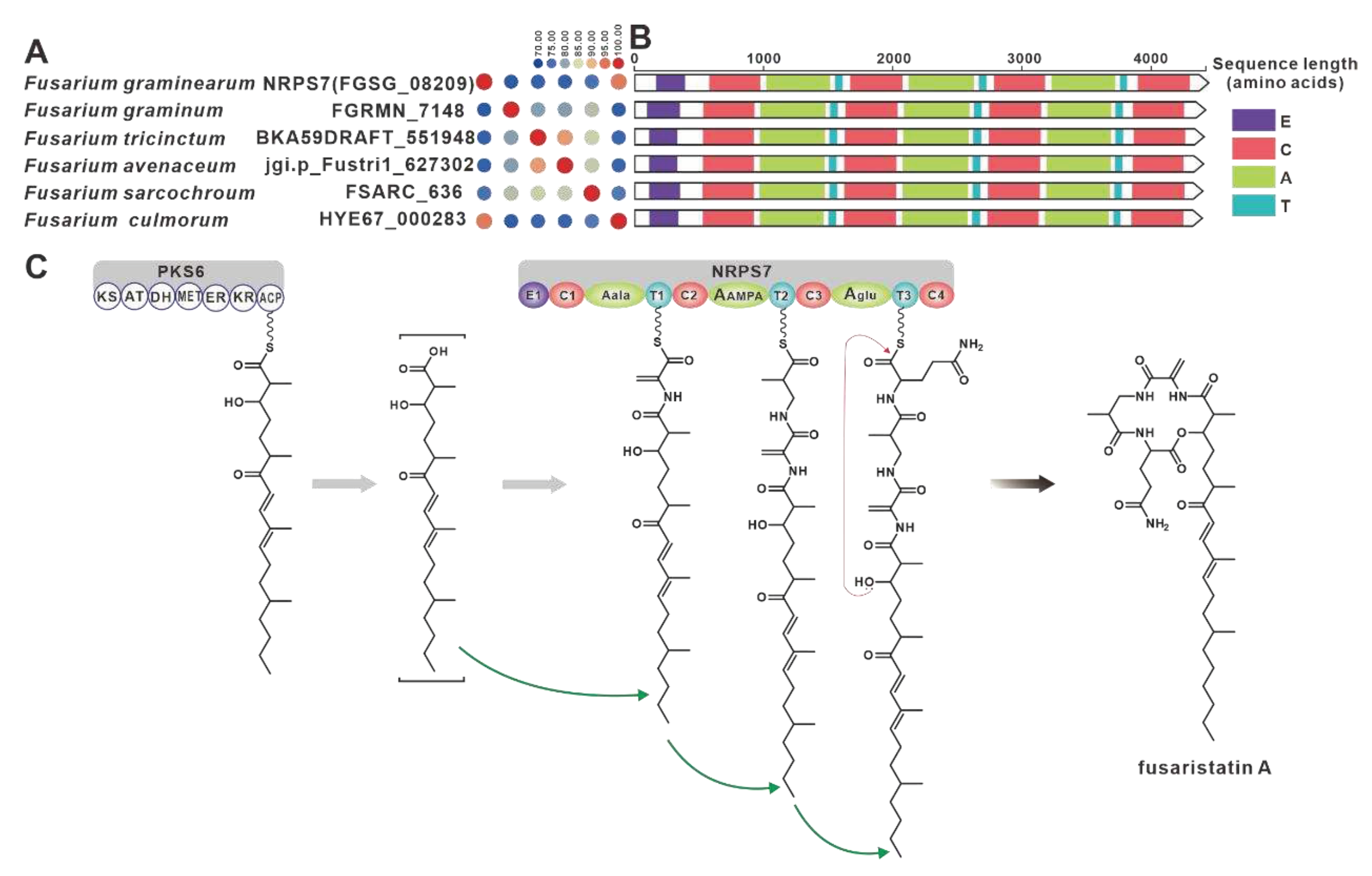 Preprints 79469 g012